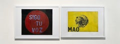 Diptych: Sigo tu voz and Mao Paintings. From The chemical vest series