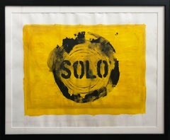 Solo, from the Chaleco Quimico series