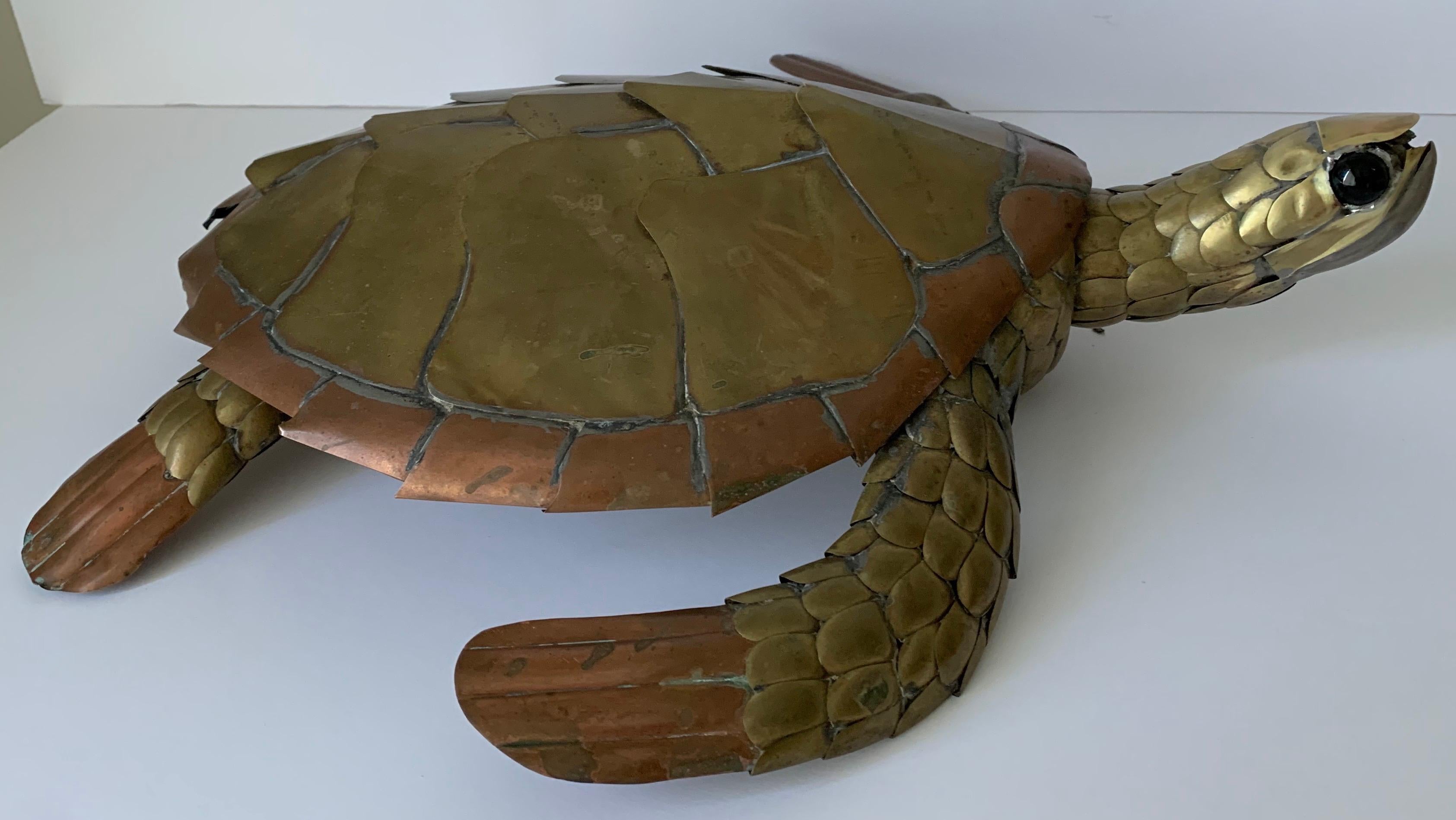 sergio turtle