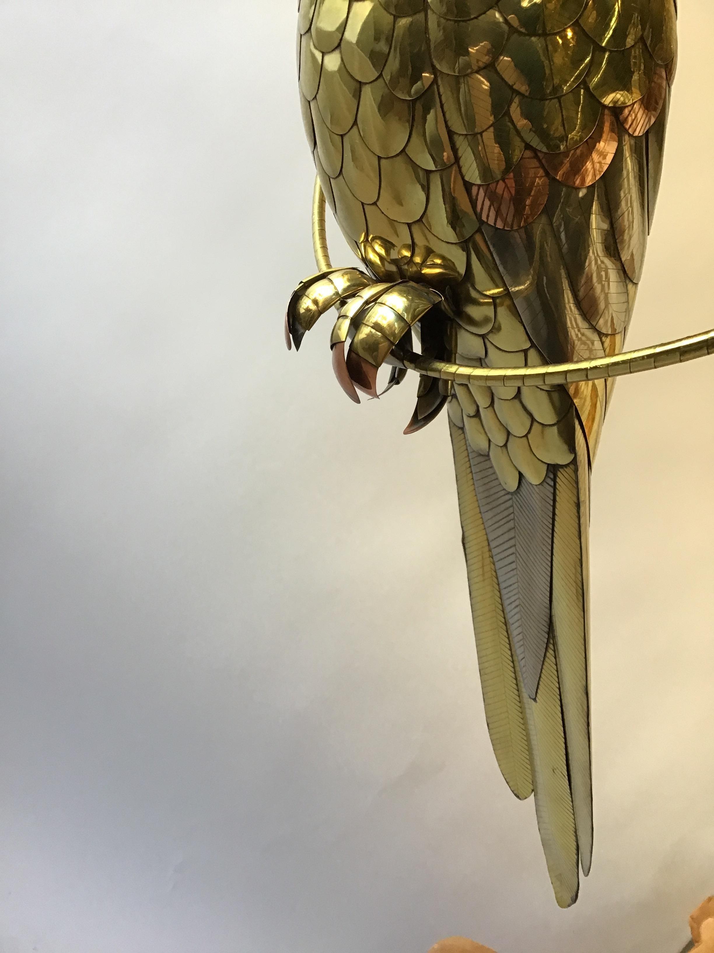 Sergio Bustamante Style Parrot 5