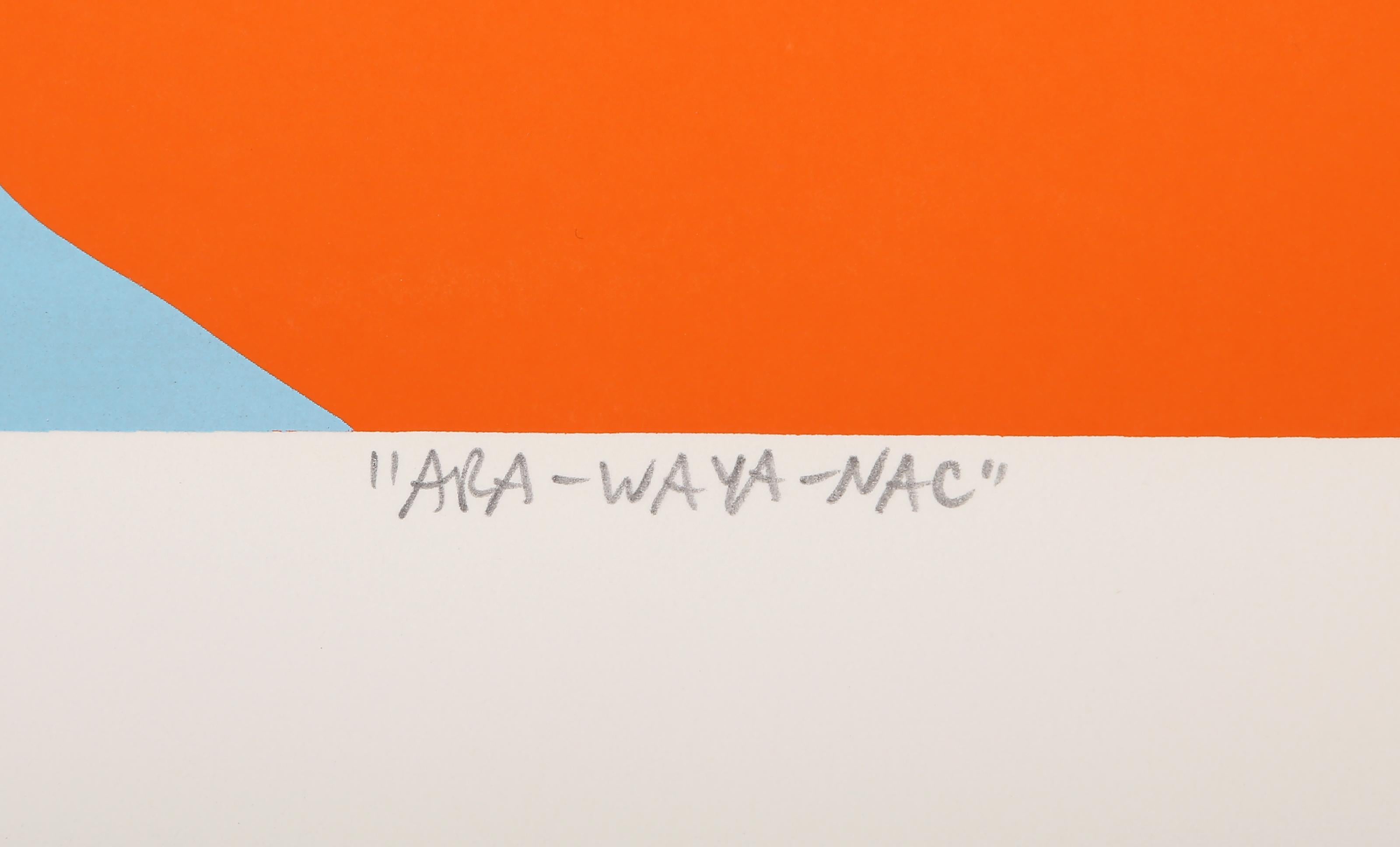 Ara Waya Nac, Pop Art Indigenous Screenprint by Sergio Gonzales-Tornero For Sale 3