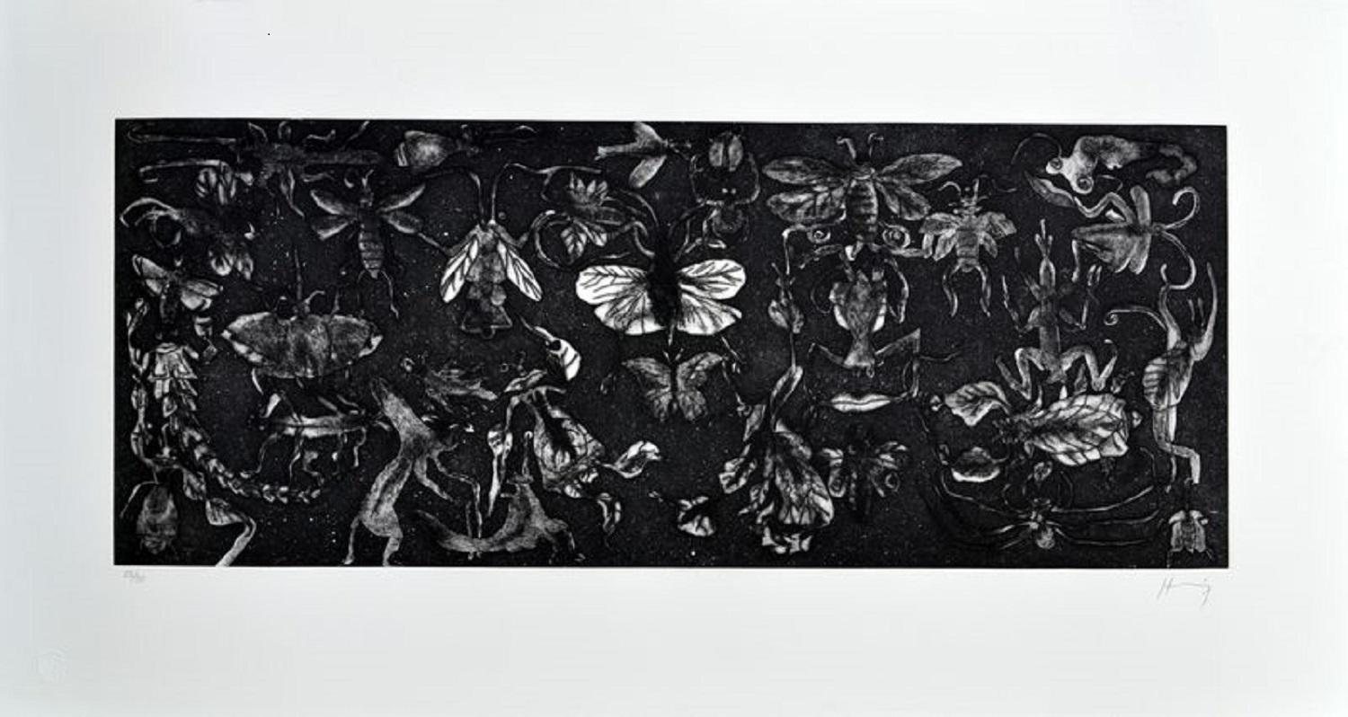 Sergio Hernández (Mexico, 1957)
'Untitled (mariposas blanco y negro)', 2014
etching, aquatint, sugarlift on paper
13.4 x 33.9 in. (34 x 86 cm.)
Edition of 30
Unframed
























