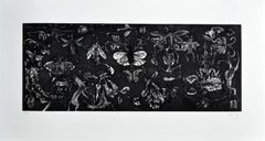 Sergio Hernández, 'Untitled (white/black) ', 2014, Etching, 13.4x33.9 in