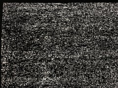 "Viaje al fondo del mar" (Trip to the Bottom of the Sea) 2011 Woodcut (Video)
