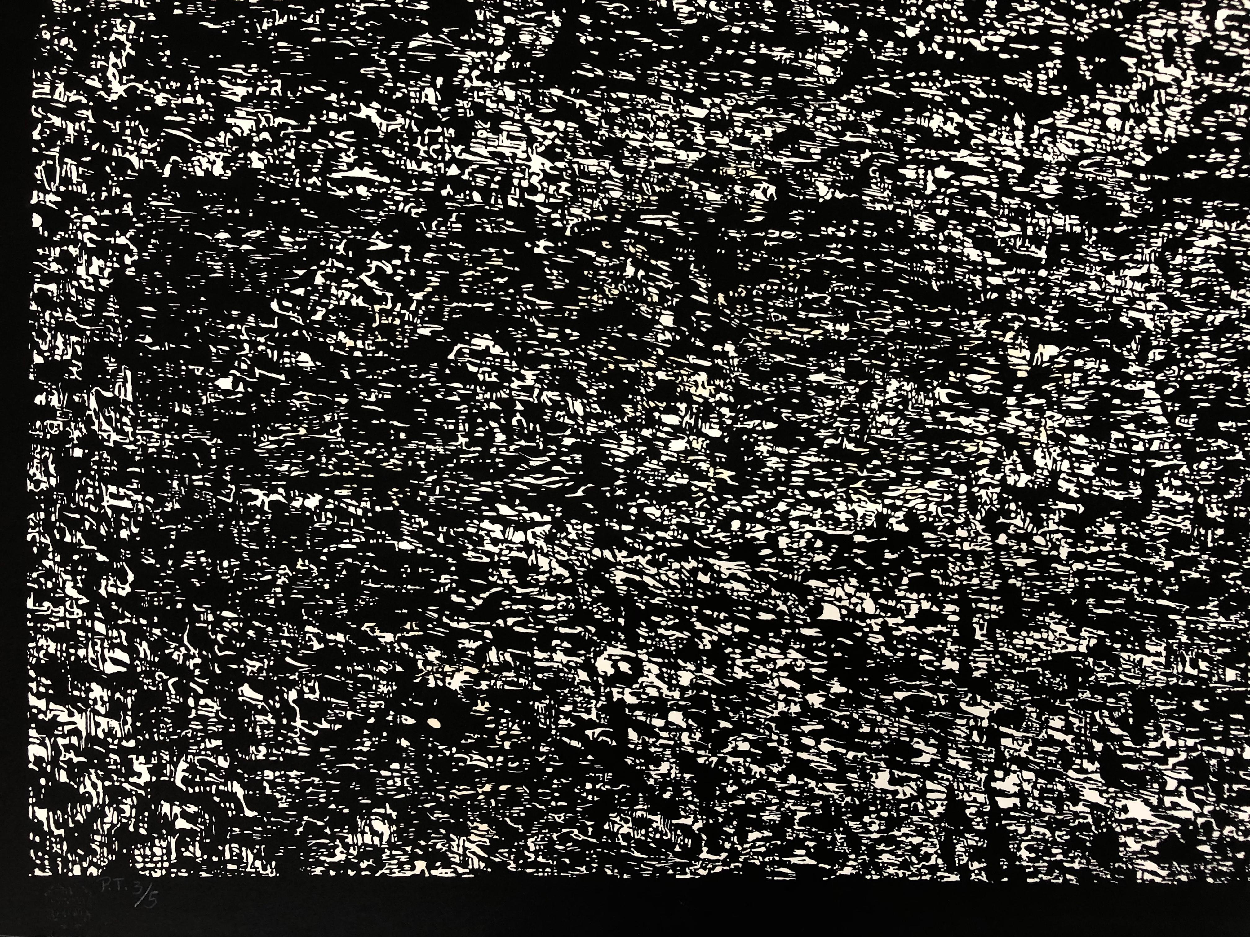 Sergio Hernández (Mexico, 1957)
'Viaje al fondo del mar', 2011
woodcut on paper Velin Arches 400 g.
46.5 x 82.7 in. (118 x 210 cm.)
Edition of 10
Unframed


















