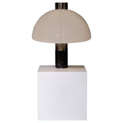 Sergio Mazza and Giuliana Gramigna Table Lamp in Stainless Steel and Marble for