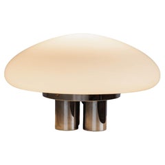 Sergio Mazza & Giuliana Gramigna "Magnolia" Table Lamp for Quattrifolio, 1973