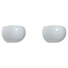 Wall Lights and Sconces