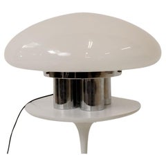 Vintage Sergio Mazza & G. Gramigna XL Magnolia Table Lamp