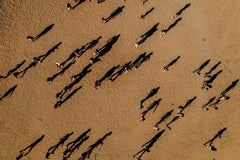 Indigenous Tribe, Brazil