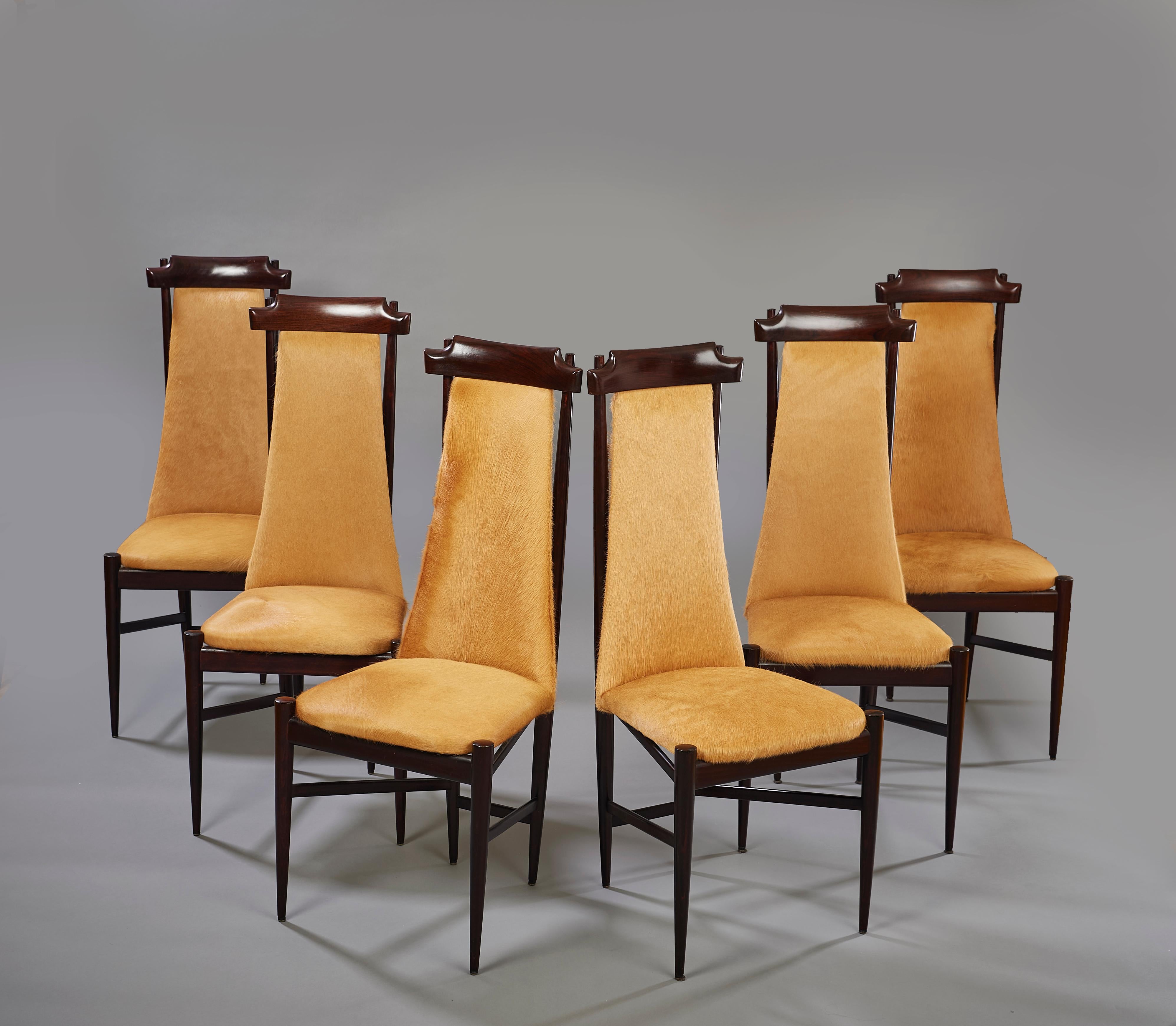 Brazilian Sergio Rodrigues Six Dining Chairs in Wood and Tan Cowhide, Brazil, 1960s For Sale