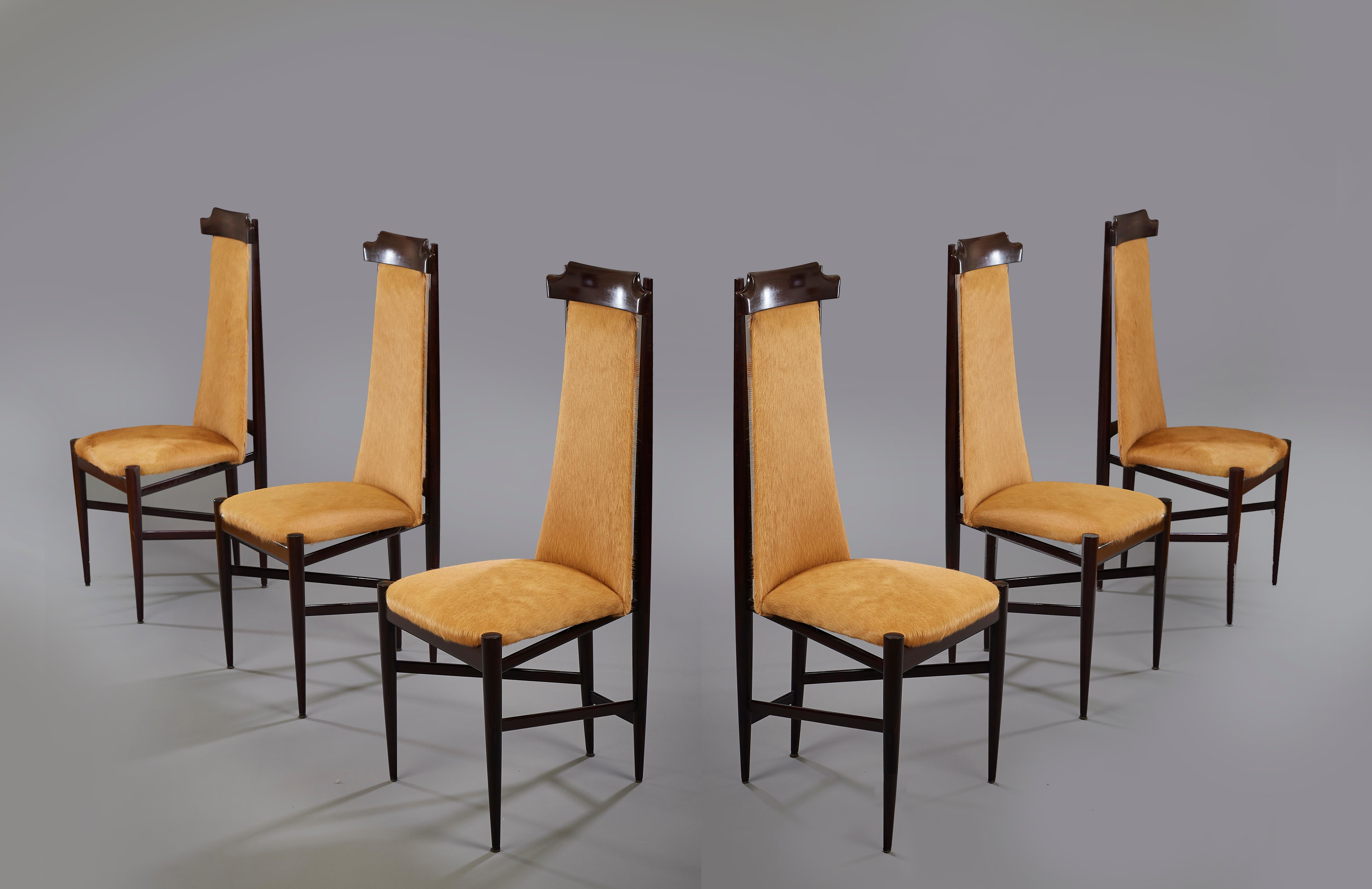 Sergio Rodrigues Six Dining Chairs in Wood and Tan Cowhide, Brazil, 1960s For Sale 2