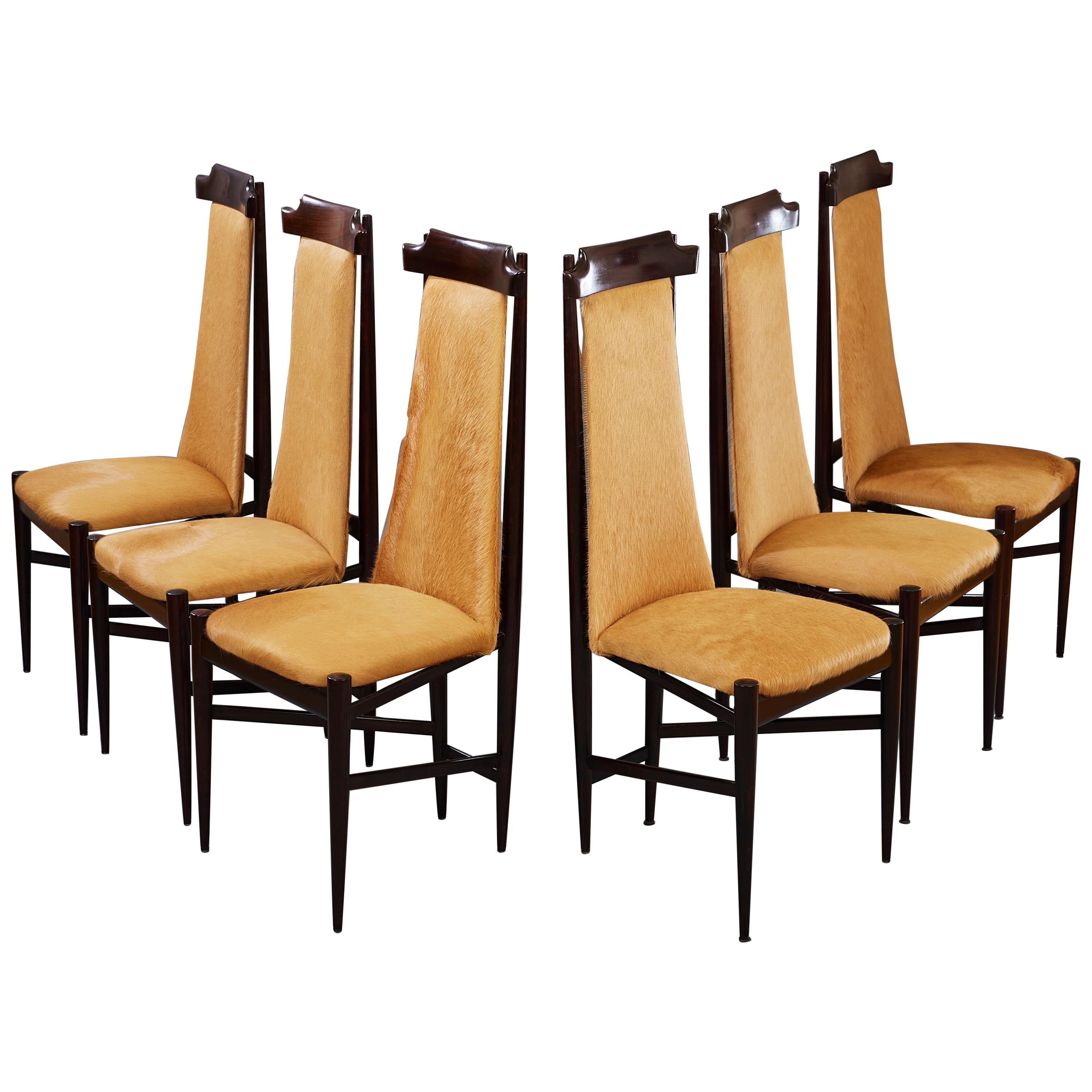 Six chaises de salle à manger Sergio Rodrigues en bois et cuir de vache brun clair, Brésil, années 1960