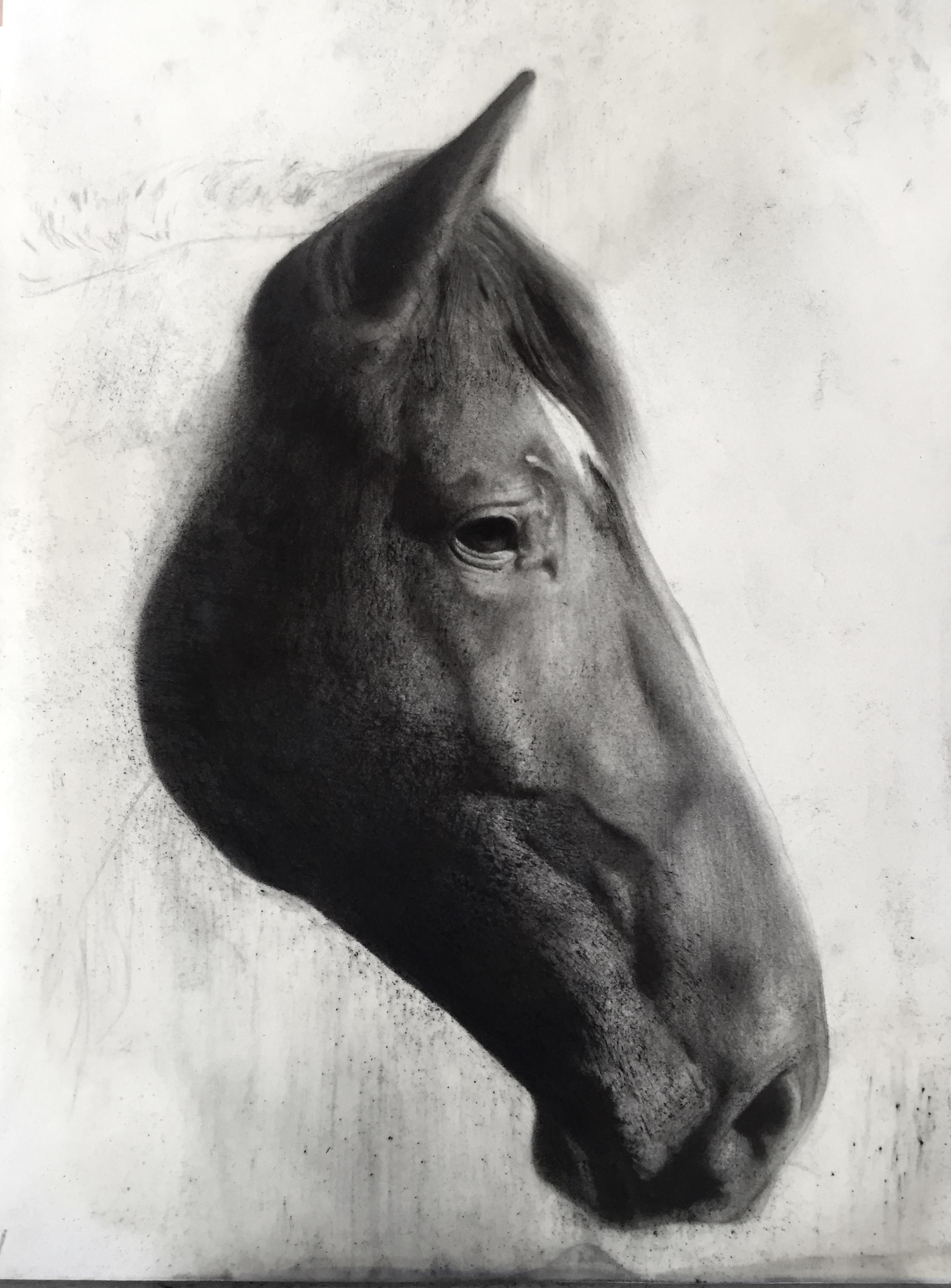 Sergio Romero Linares Figurative Painting - Cabeza de caballo