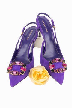 Sergio Rossi Pumps