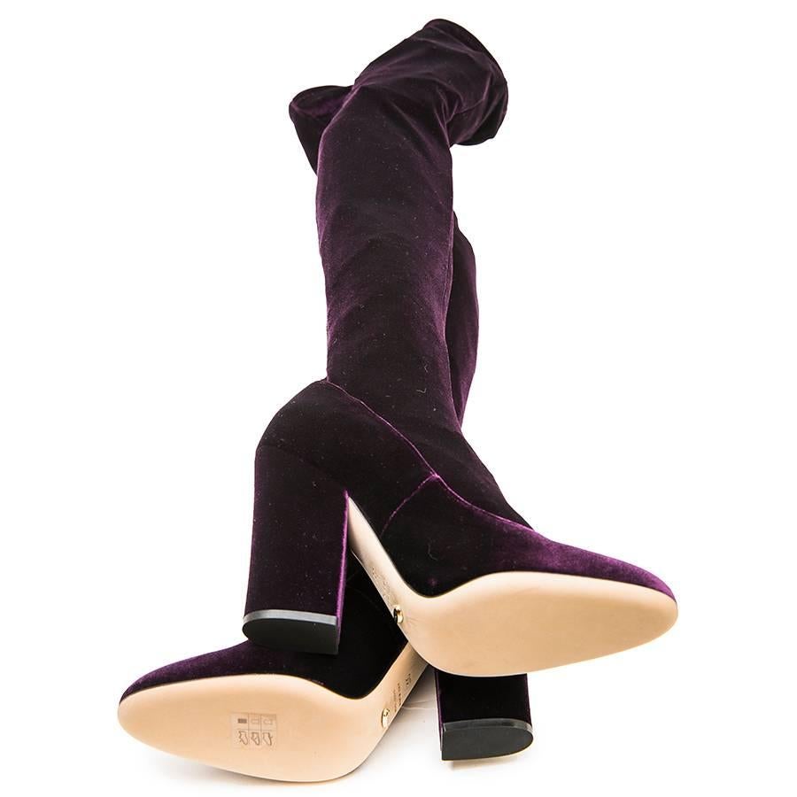 SERGIO ROSSI Thigh Boots in Plum Stretch Velvet Size 36 In New Condition In Paris, FR