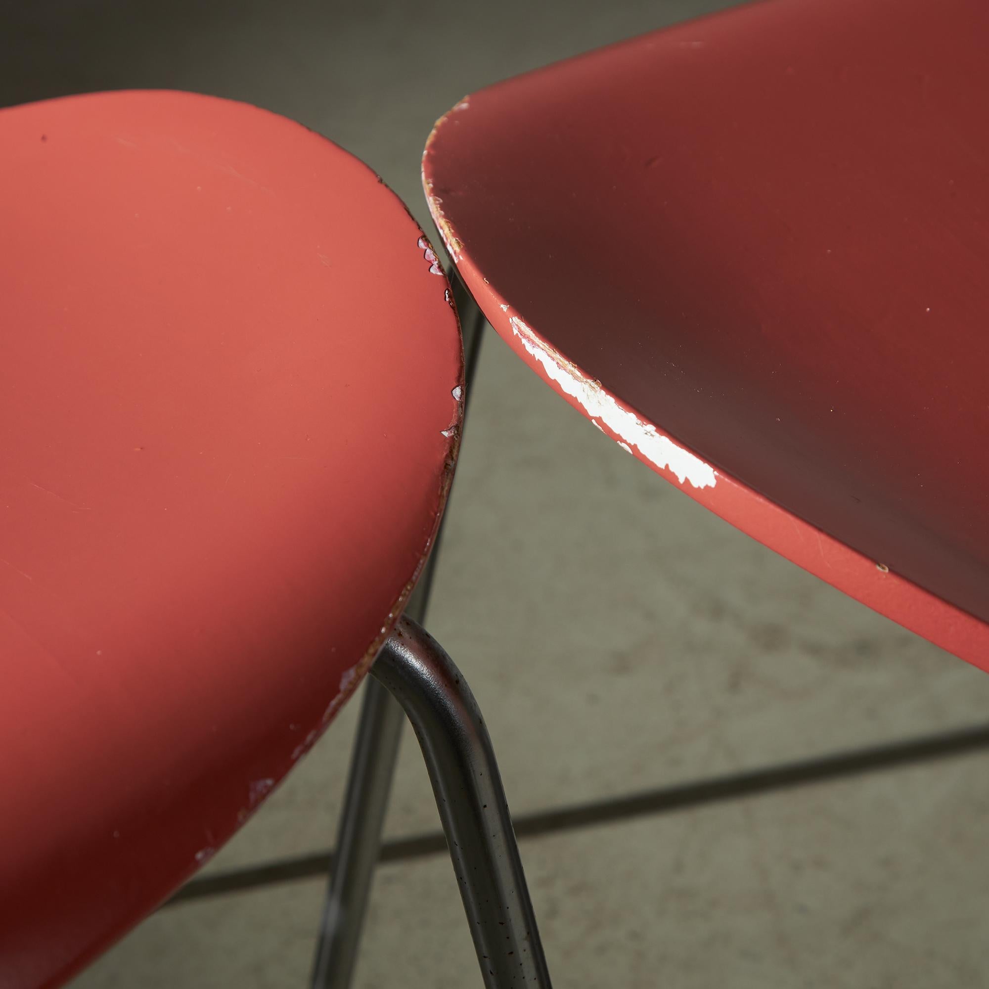 Series 7 Chair by Arne Jacobsen for Fritz Hansen, 1955 For Sale 7