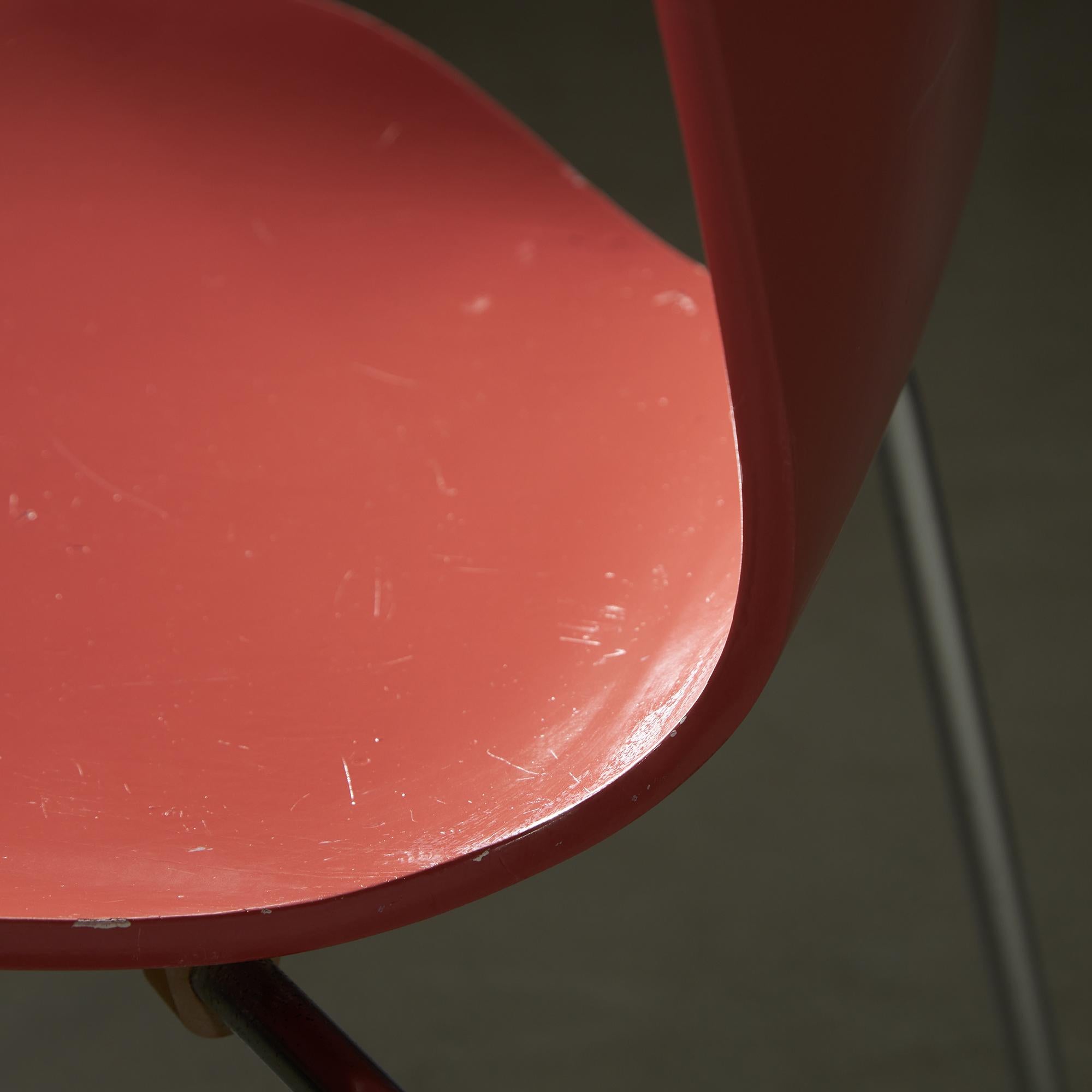 Series 7 Chair by Arne Jacobsen for Fritz Hansen, 1955 For Sale 3