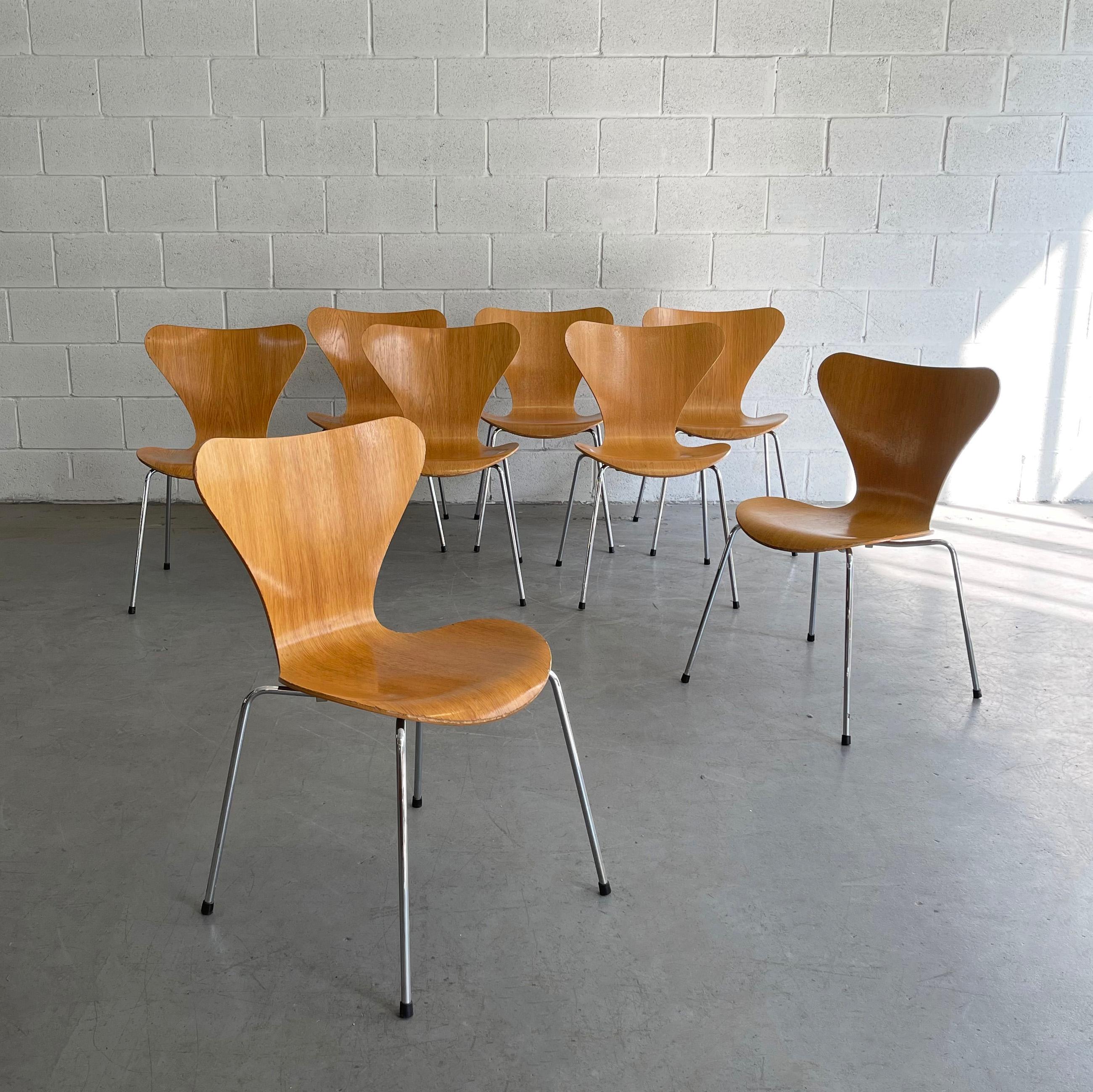 Ikonische, skandinavische Moderne, Serie 7, Modell 3107 Stühle von Arne Jacobsen für Fritz Hansen. Perfekt für den Einsatz im Esszimmer oder im Büro/Schreibtisch. Es sind 6 stapelbare Stühle erhältlich, 2 aus Esche und 4 aus Ahorn. Sie werden
