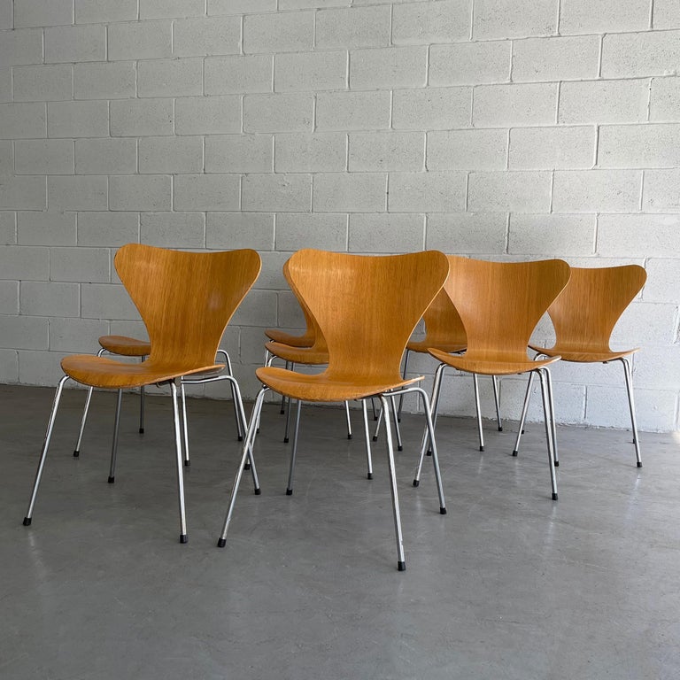 Scandinavian Modern Series 7 Chairs by Arne Jacobsen for Fritz Hansen For Sale