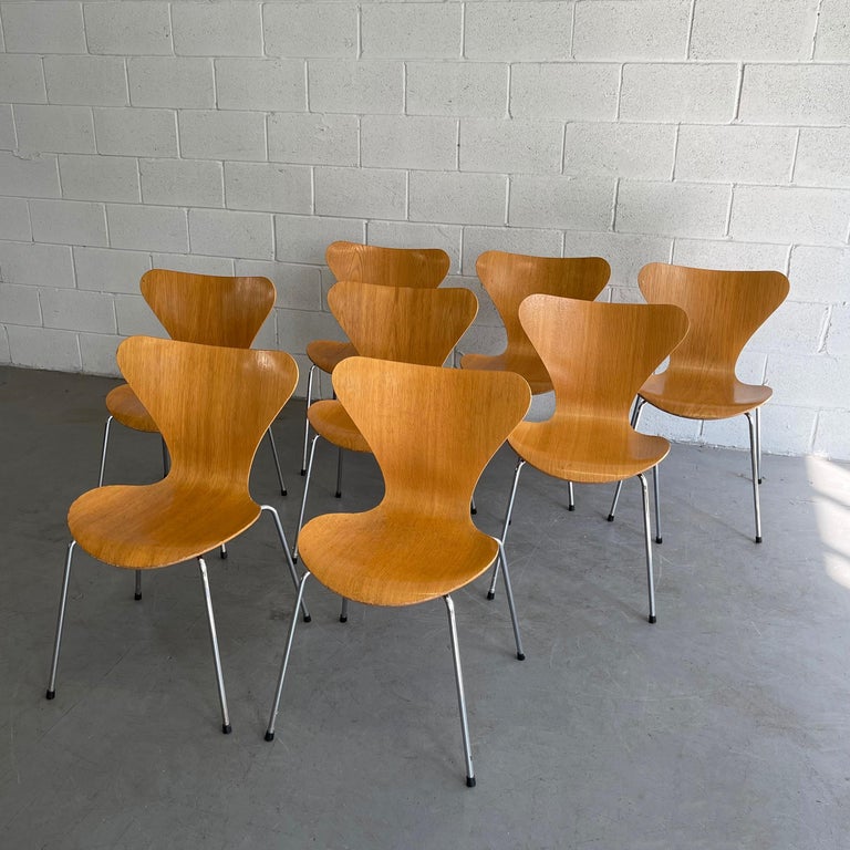 Series 7 Chairs by Arne Jacobsen for Fritz Hansen In Good Condition For Sale In Brooklyn, NY