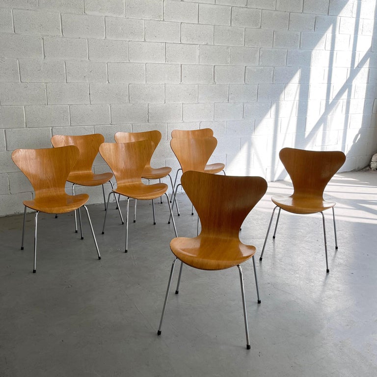Series 7 Chairs by Arne Jacobsen for Fritz Hansen For Sale 1