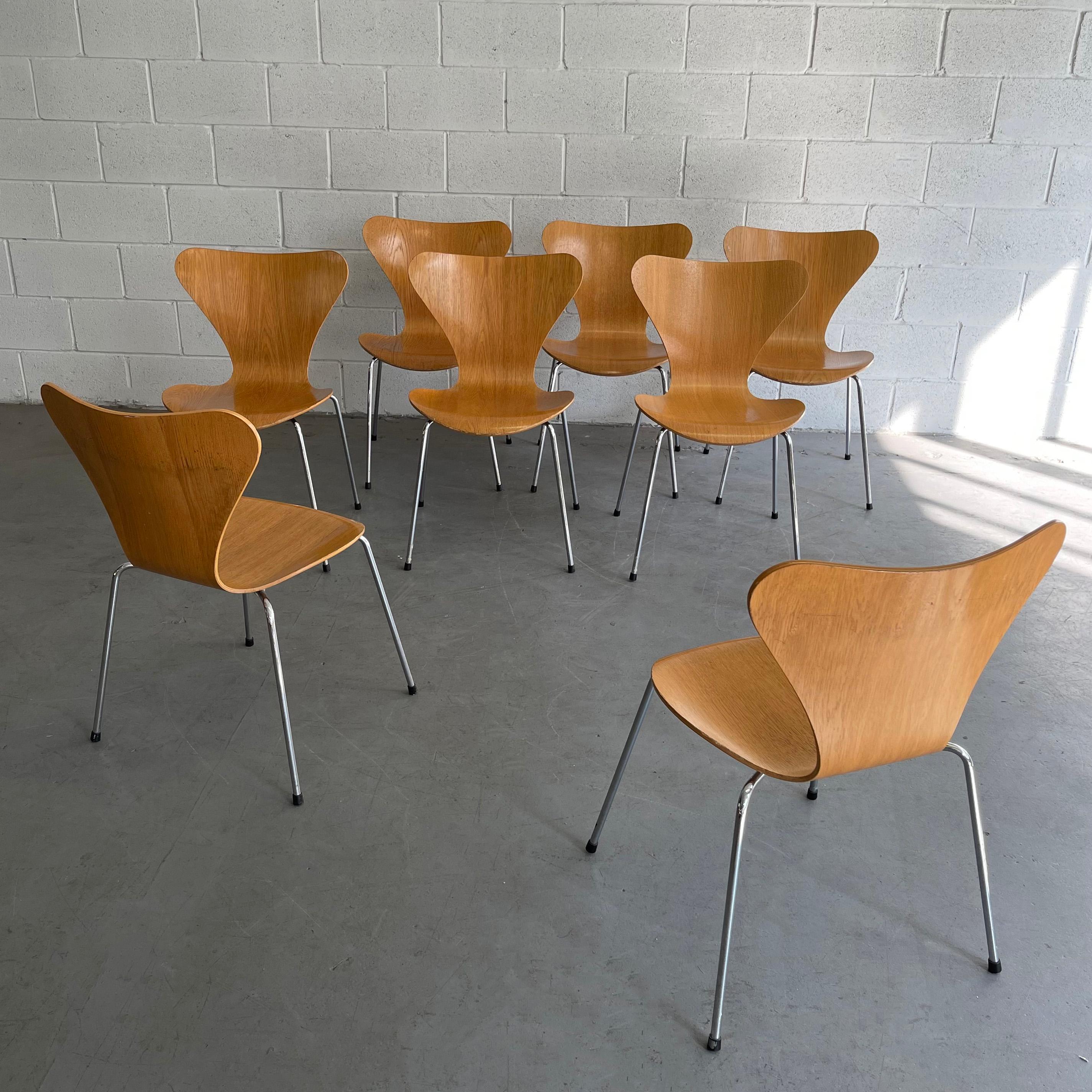 Chaises de la série 7 d'Arne Jacobsen pour Fritz Hansen en vente 1