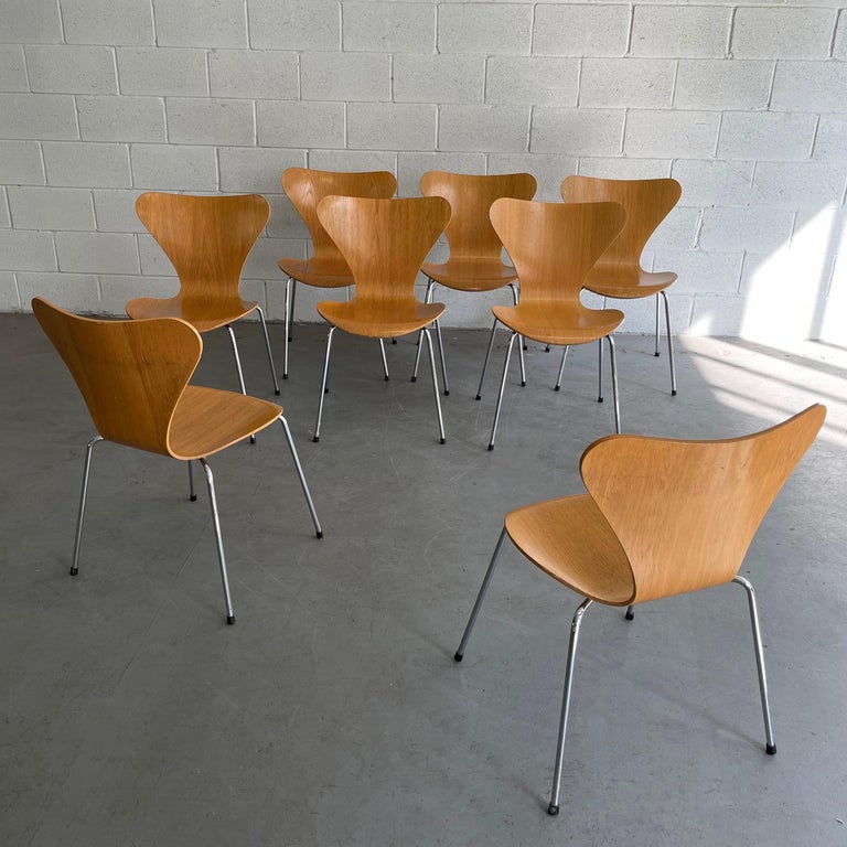Series 7 Chairs by Arne Jacobsen for Fritz Hansen For Sale 2
