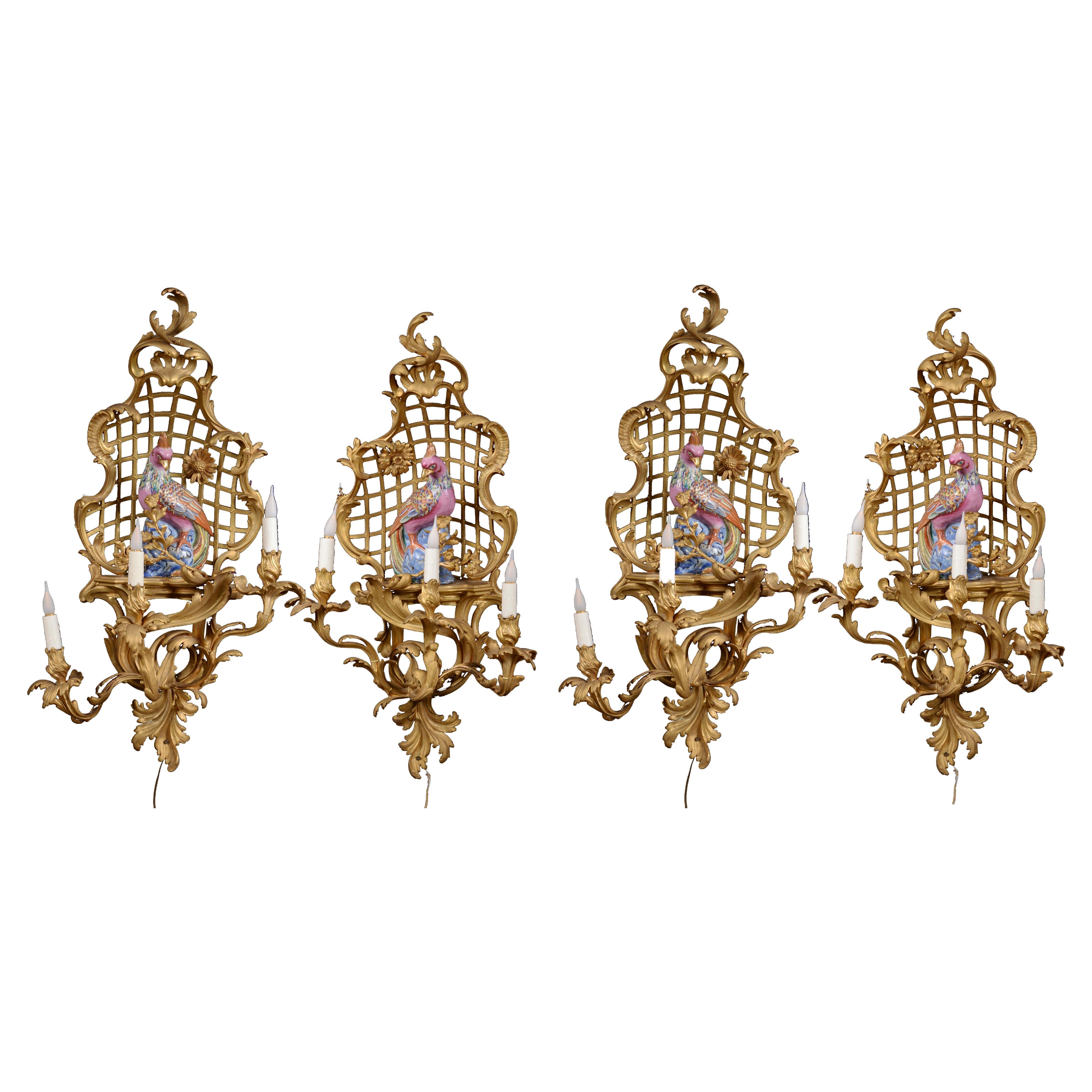 Series of Four Louis XVI Style Wall Lights with Parrots, After 1885 For Sale