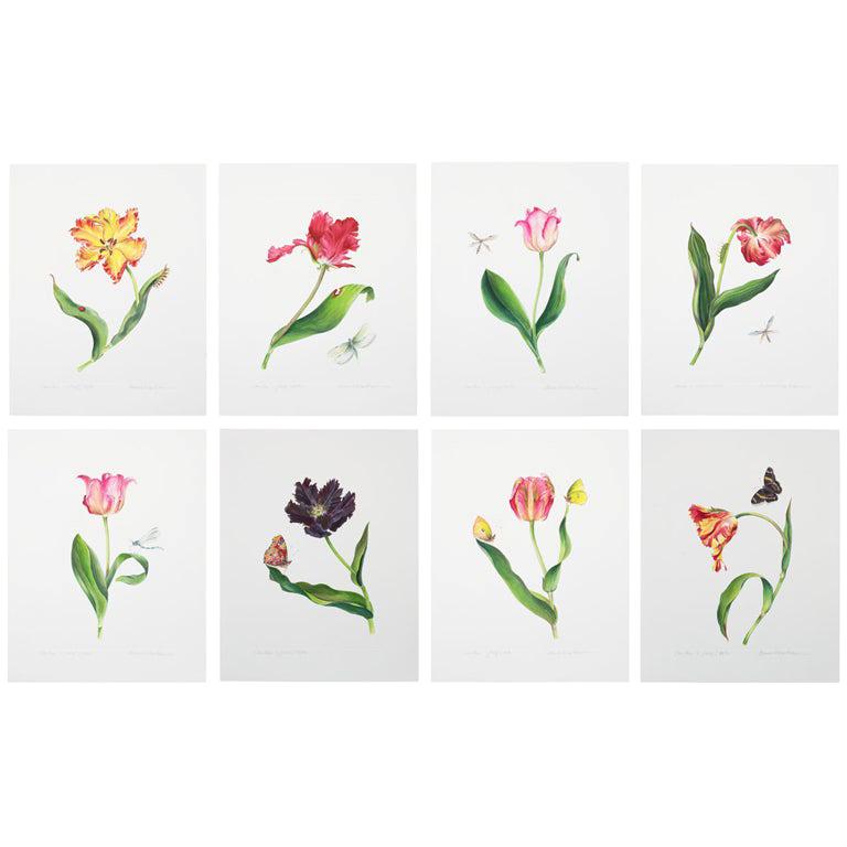 Series of Watercolor Tulip Prints by Anna Chiara Branca