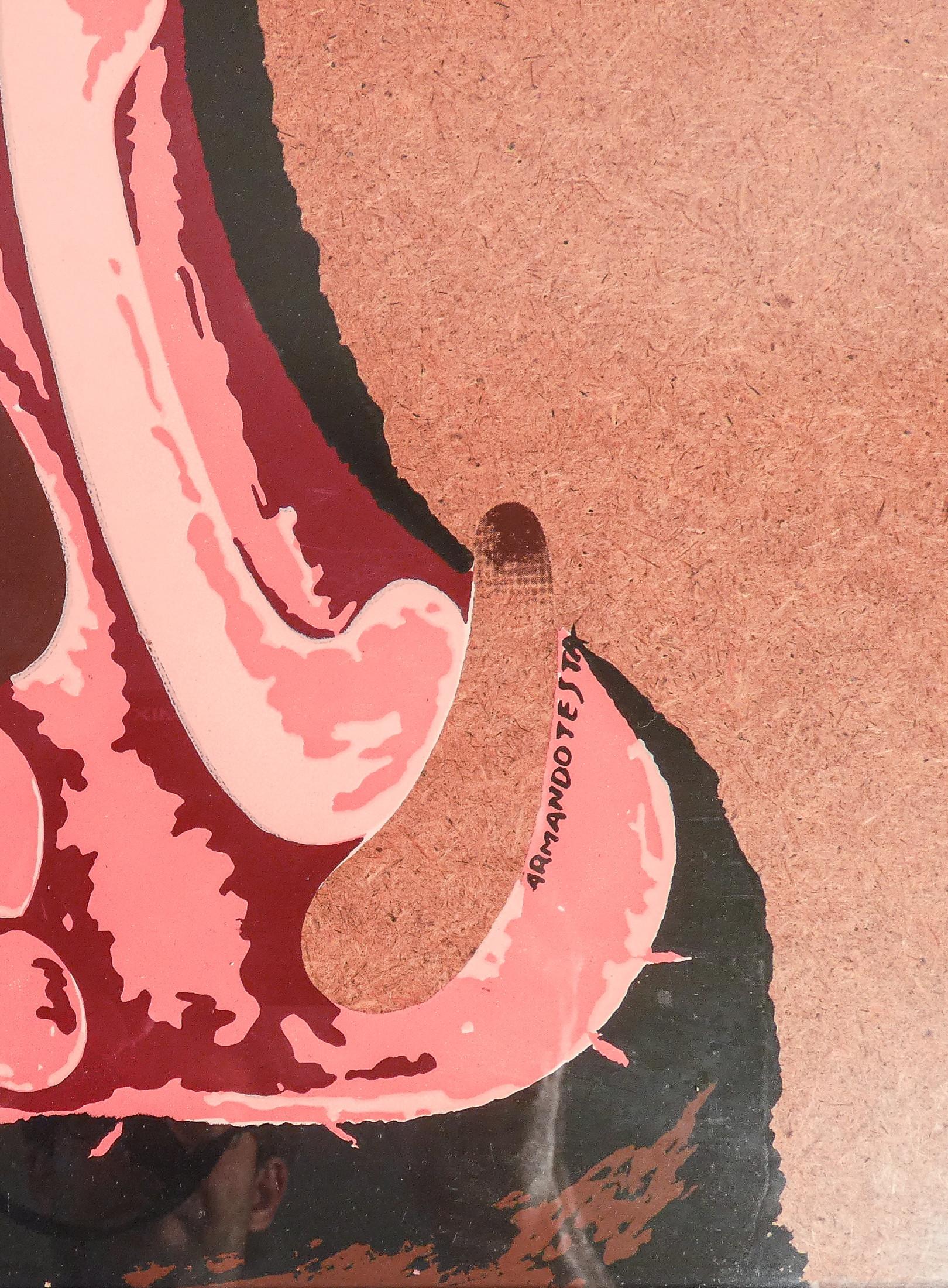 Molded Armando TESTA's color silkscreen print 