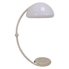 Serpente Floor Lamp by Elio Martinelli, Italy 1960's