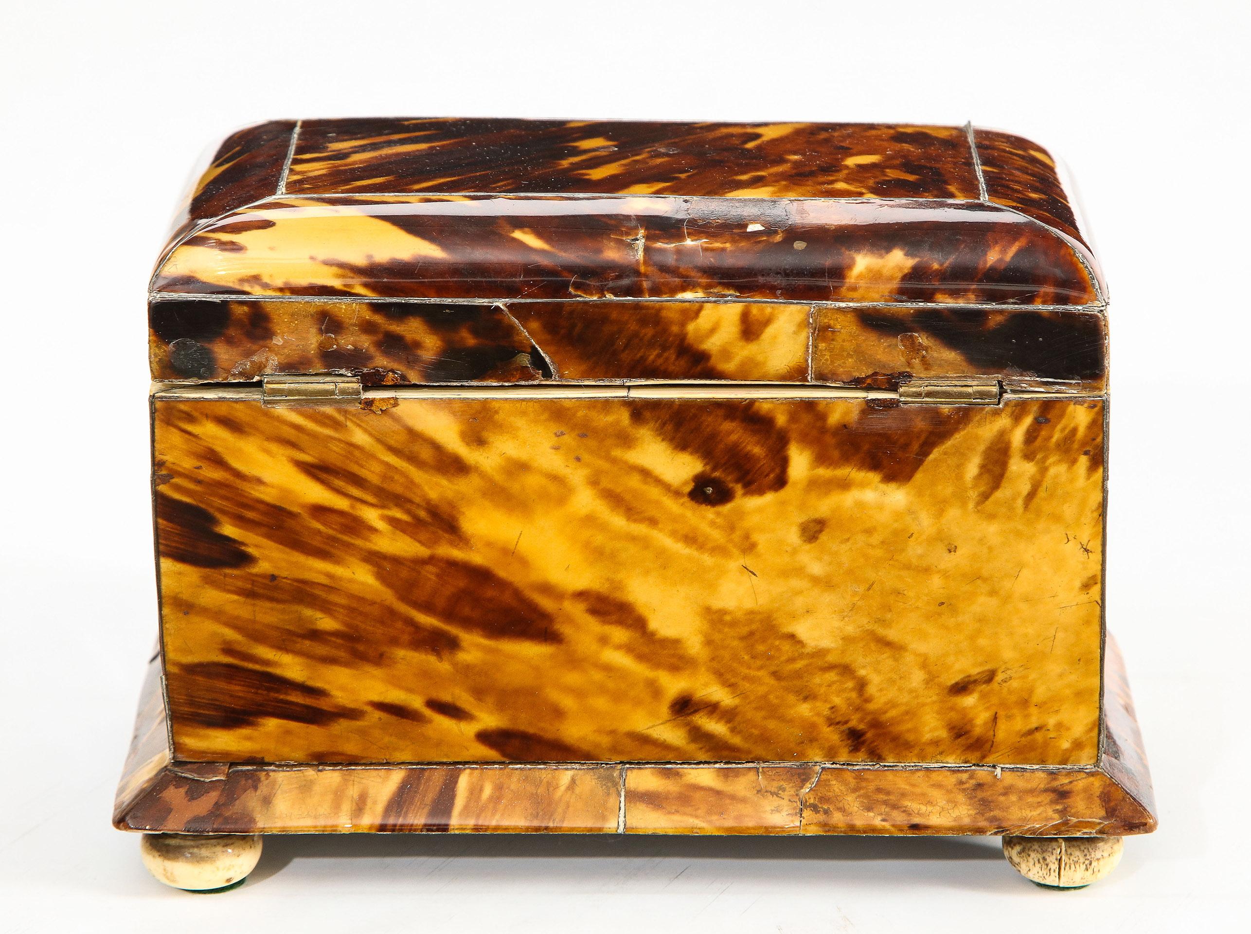 19th Century Serpentine Form Regency Tortoise Shell Tea Caddy For Sale