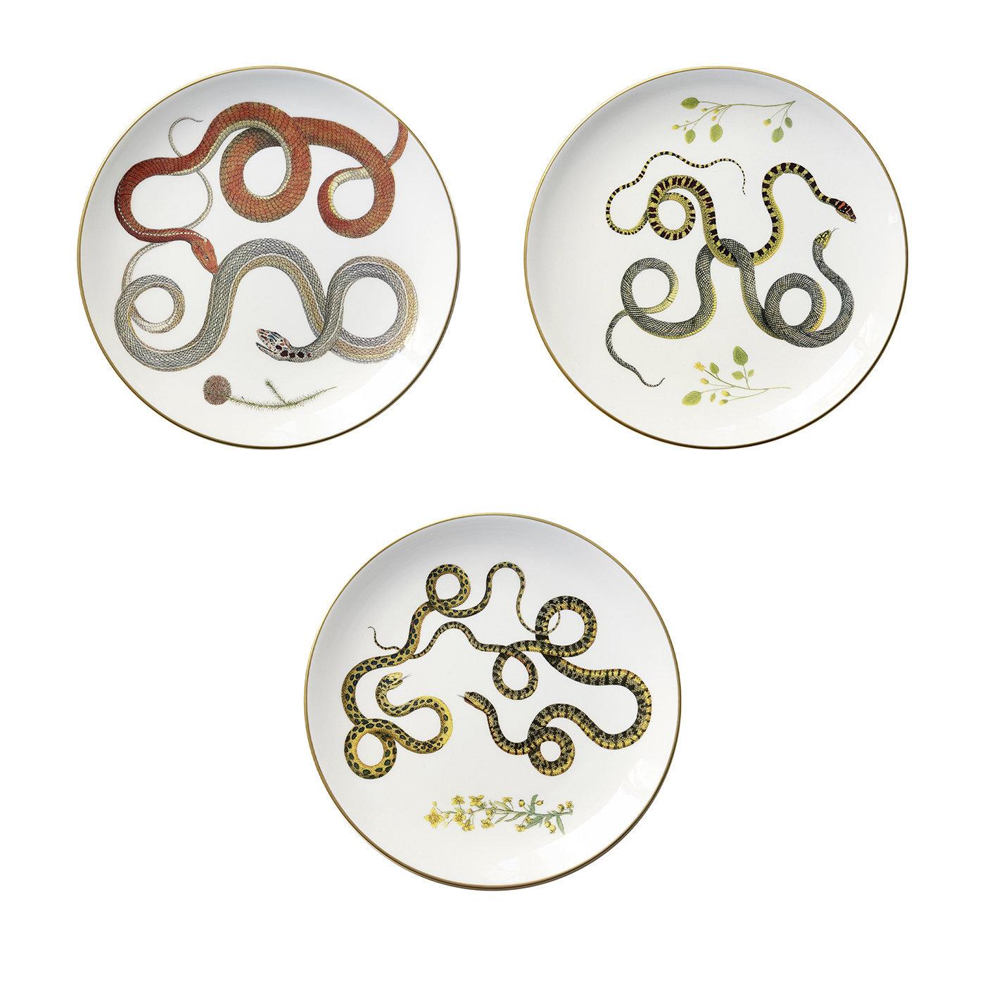 Serpi Dinner Plates N°2 Set of 3 with Red, Green and Grey Snakes For Sale 1