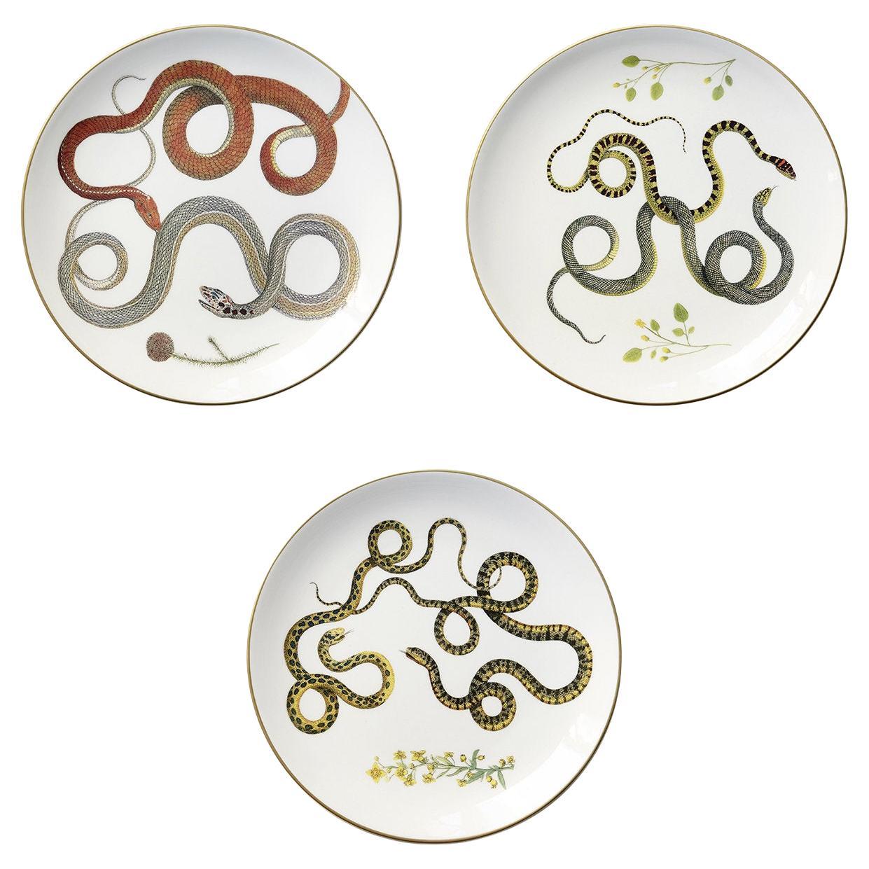 Set de 3 platos Serpi N°2 con serpientes rojas, verdes y grises