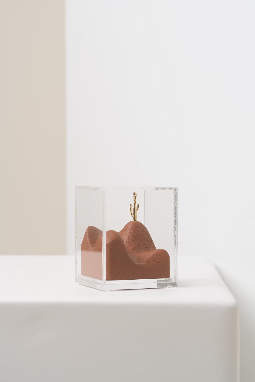 Brasiliano Serie Sertão, scultura di cactus in legno e ottone con scatola in acrilico in vendita