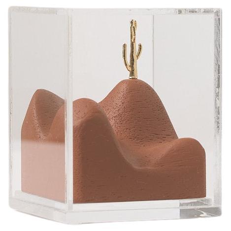 Sertão Series, Wood and Brass Cactus Sculpture in Acrylic Box