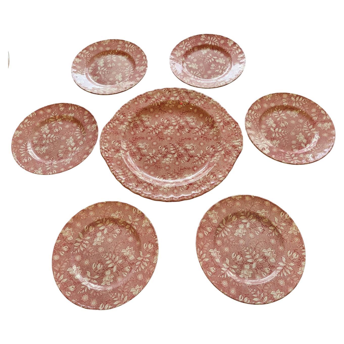 Préparez-vous à impressionner vos invités avec notre service à dessert Grindley of Stoke  Velours Royal Tudor. Ce magnifique ensemble en céramique rose se compose de six assiettes à dessert de 20 cm, accompagnées d'un grand plat à gâteau de 30 cm,