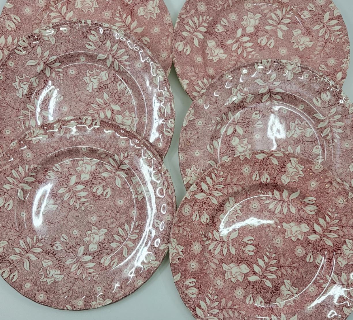 Faïence Service assiettes Grindley of Stoke Royal Tudor Velvet en faïence Rose England en vente