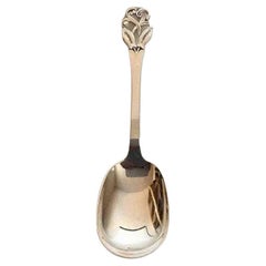 Serving Spoon in Silver