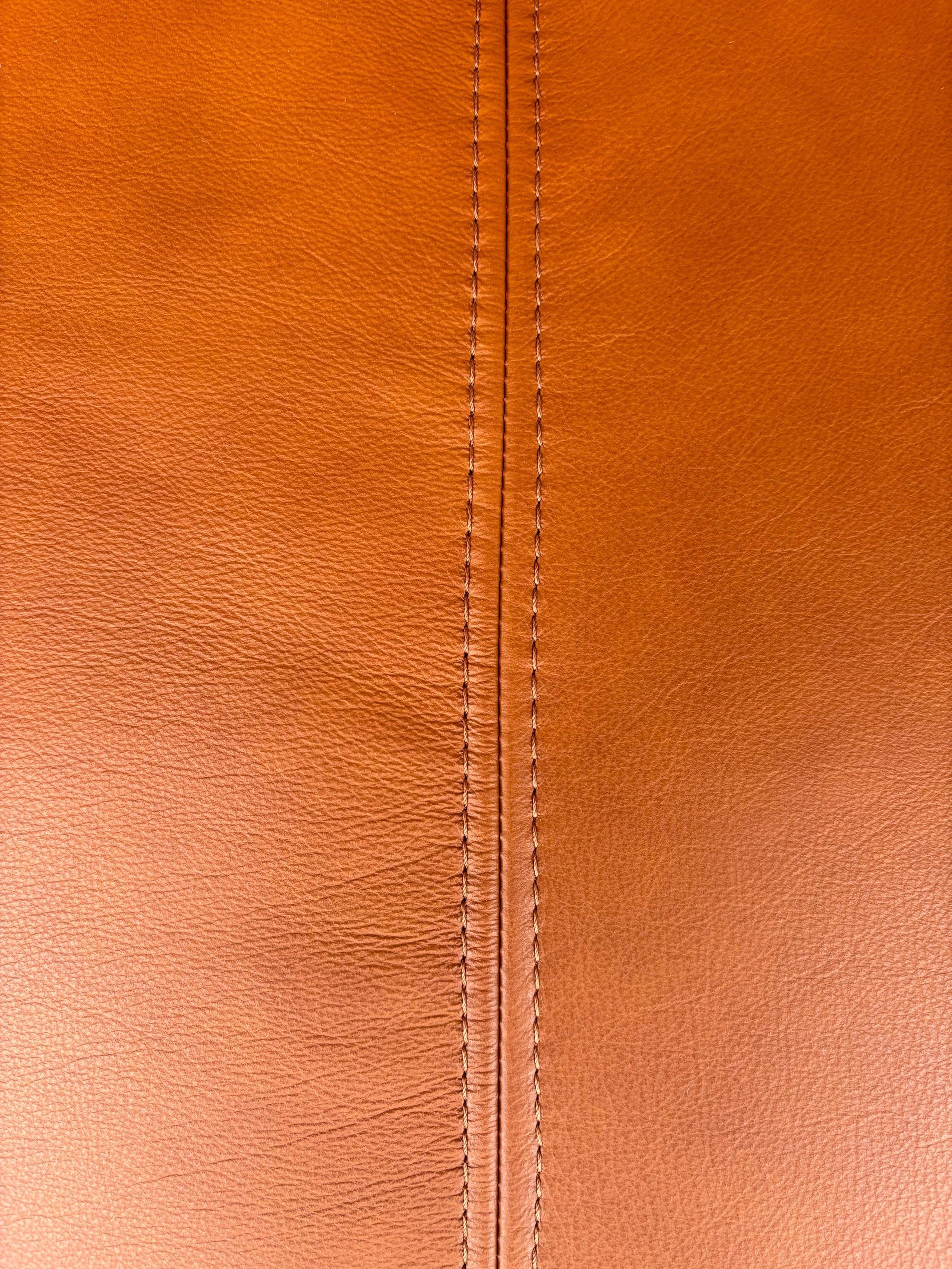 Canapé Sesann de Gianfranco Frattini, Cassina (première édition), 1972 en vente 1