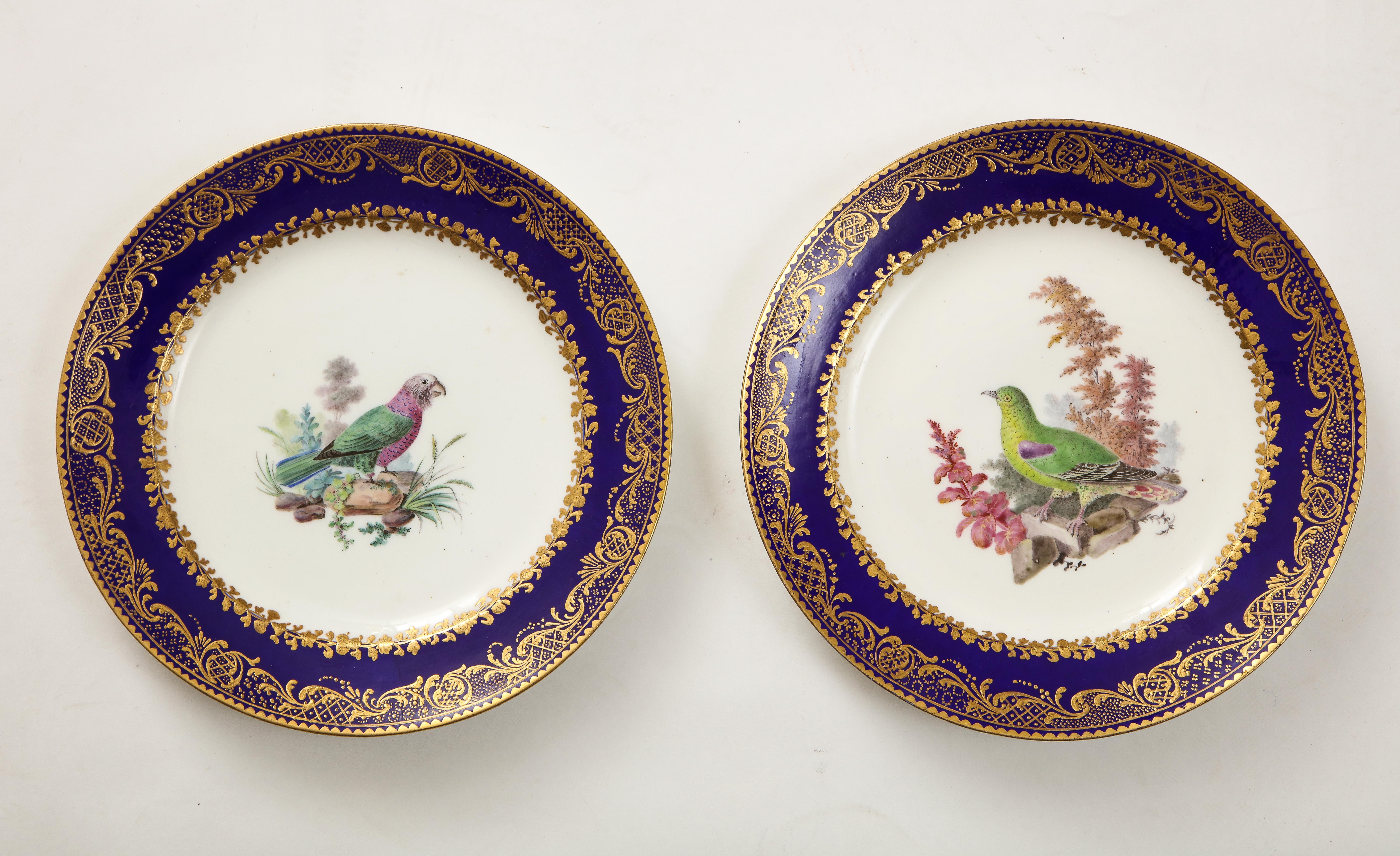 Set 10 assiettes à décor d'oiseaux en Sèvres du 18e C., fond bleu foncé, empâtement doré en vente 3