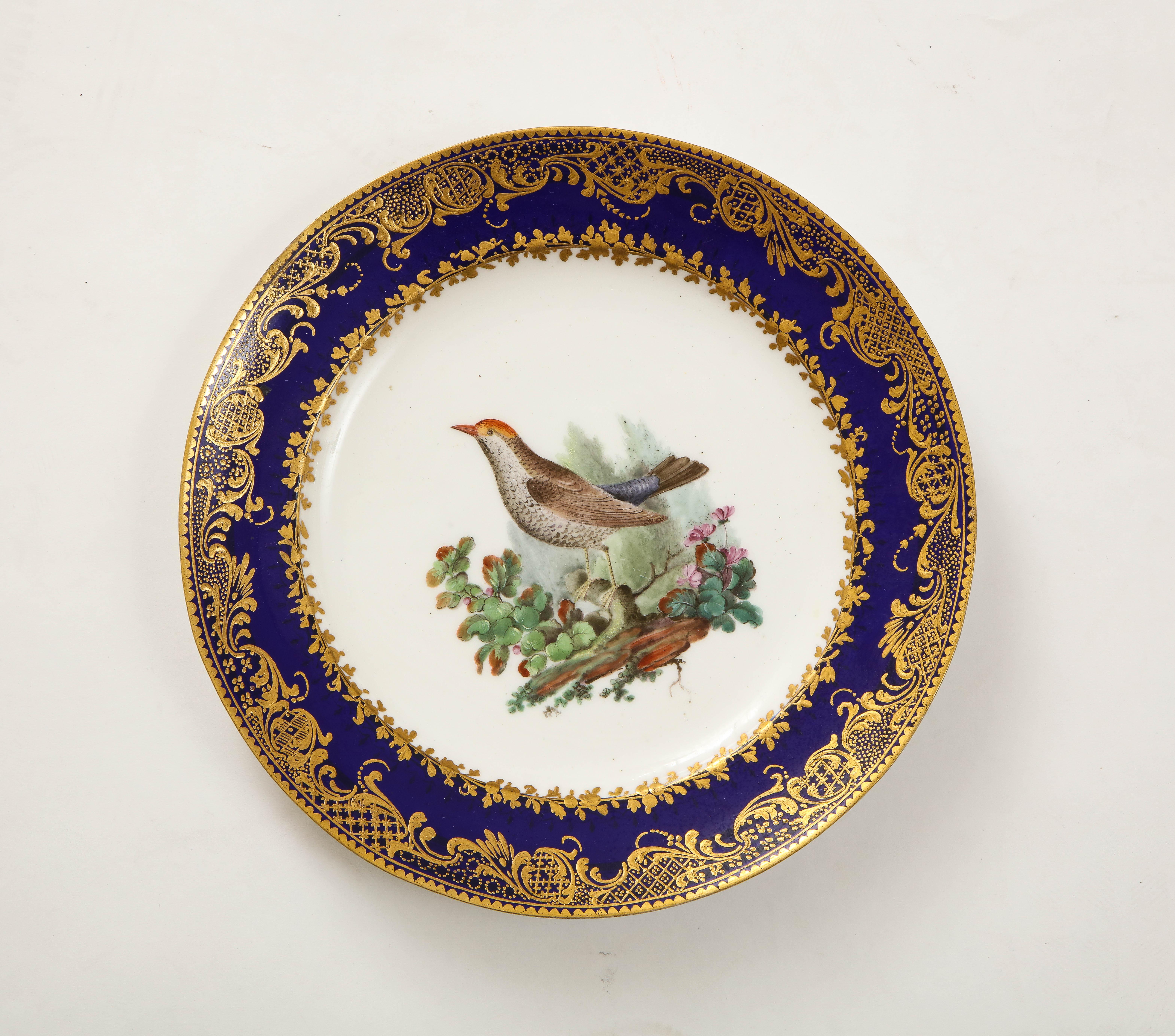 Satz 10 französische Sèvres-Teller mit dunkelblauem Grund und vergoldetem Vogeldekor aus dem 18. (Vergoldet) im Angebot