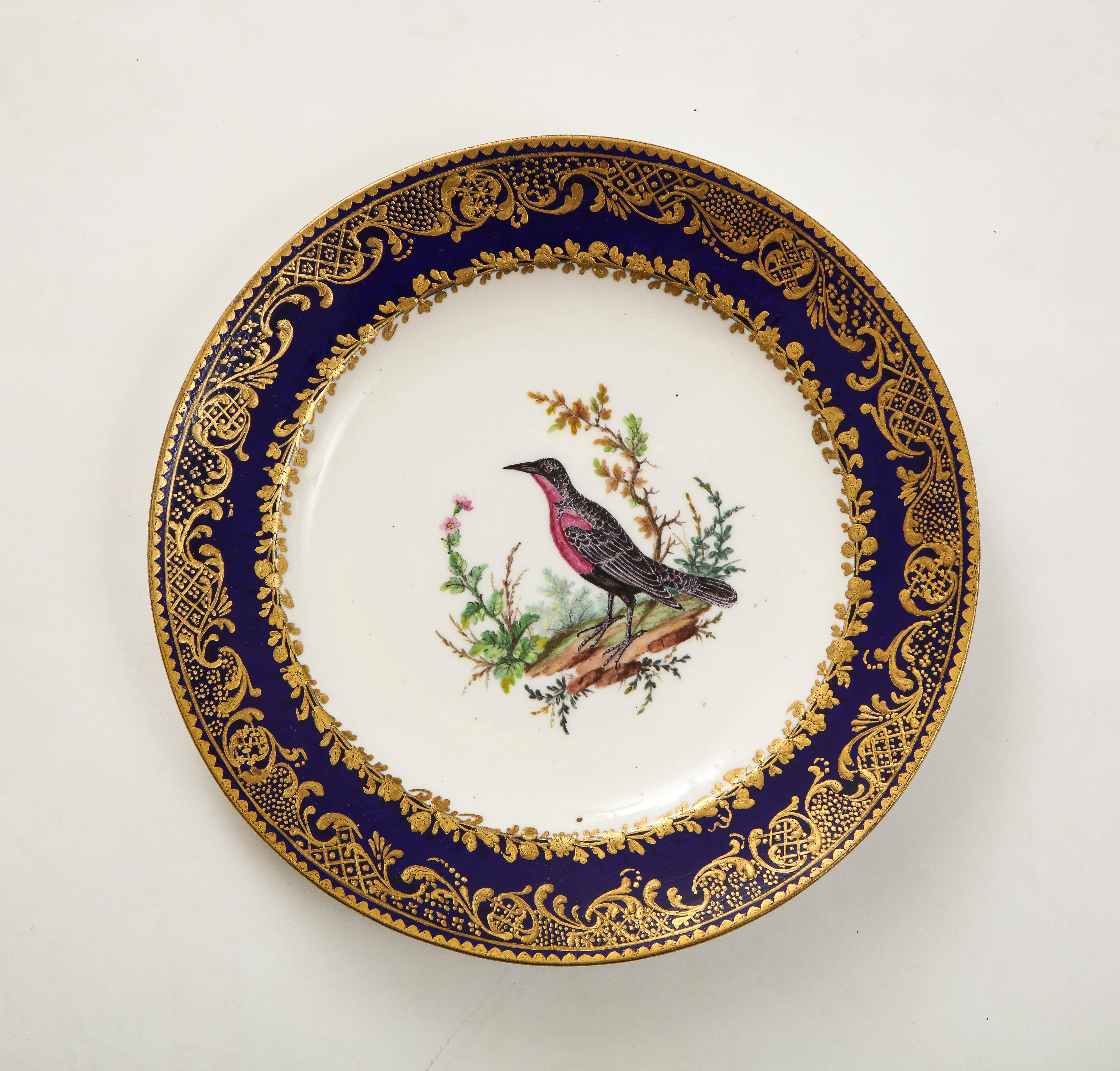 Satz 10 französische Sèvres-Teller mit dunkelblauem Grund und vergoldetem Vogeldekor aus dem 18. (18. Jahrhundert und früher) im Angebot