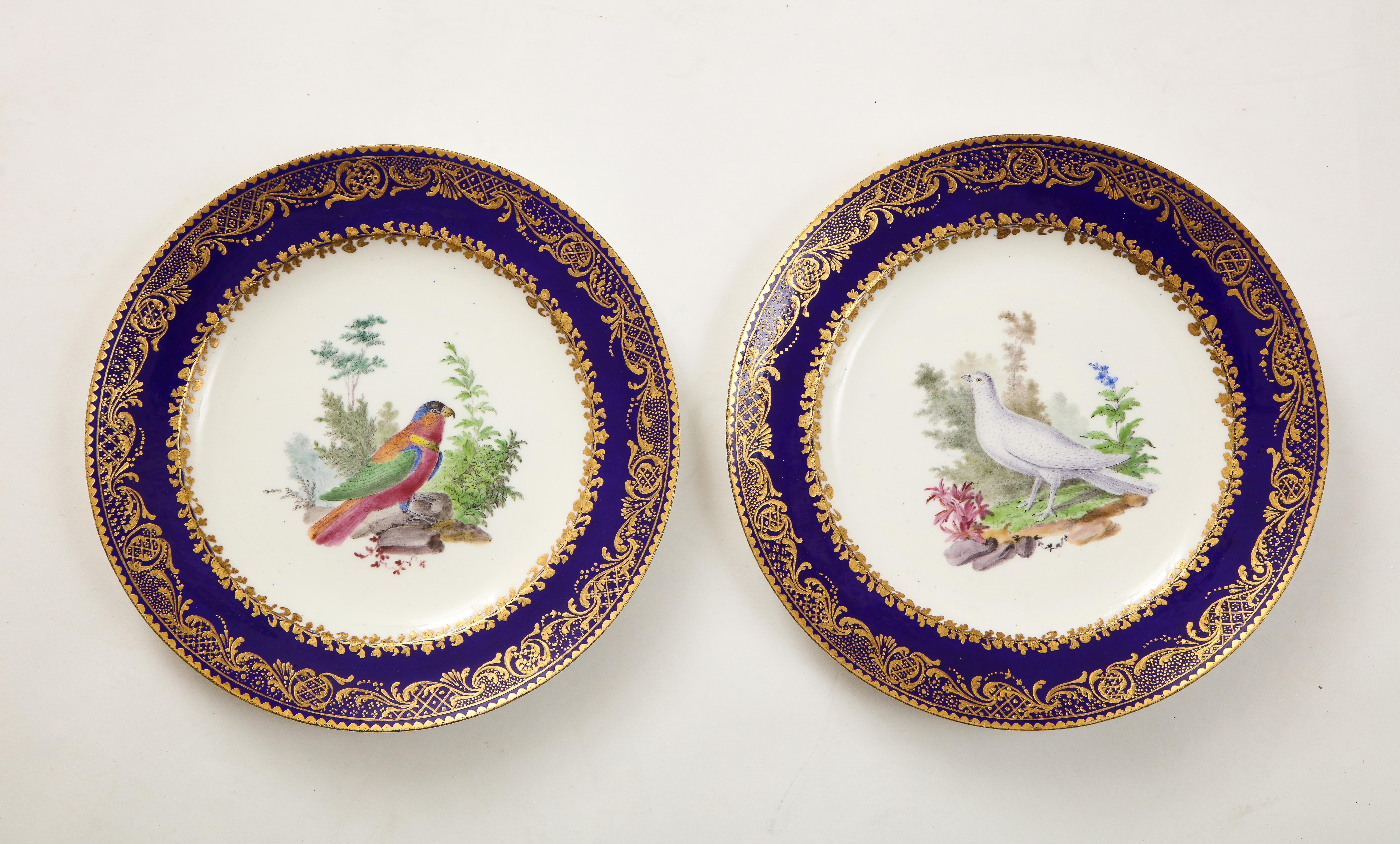 Satz 10 französische Sèvres-Teller mit dunkelblauem Grund und vergoldetem Vogeldekor aus dem 18. im Angebot 1