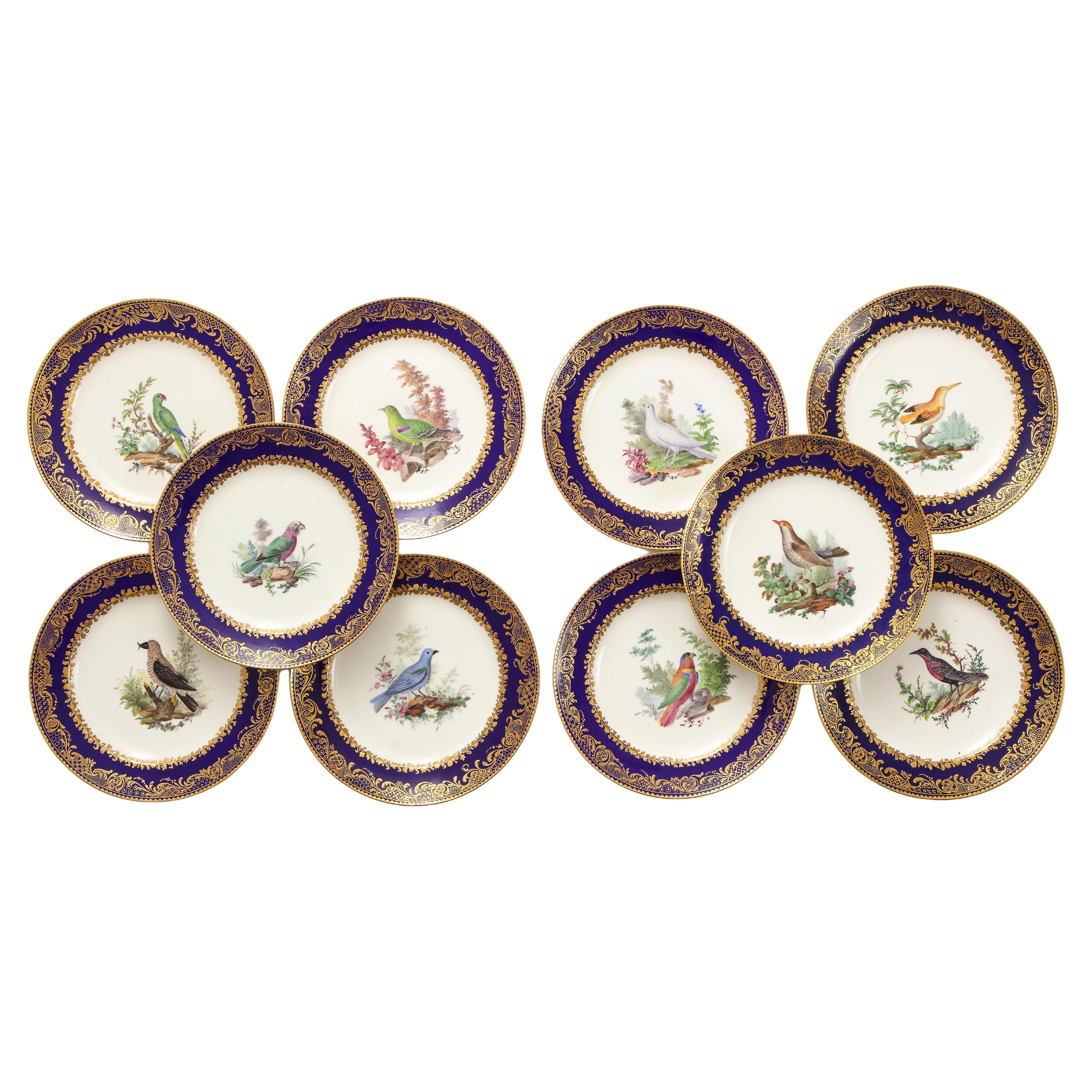 Satz 10 französische Sèvres-Teller mit dunkelblauem Grund und vergoldetem Vogeldekor aus dem 18. im Angebot