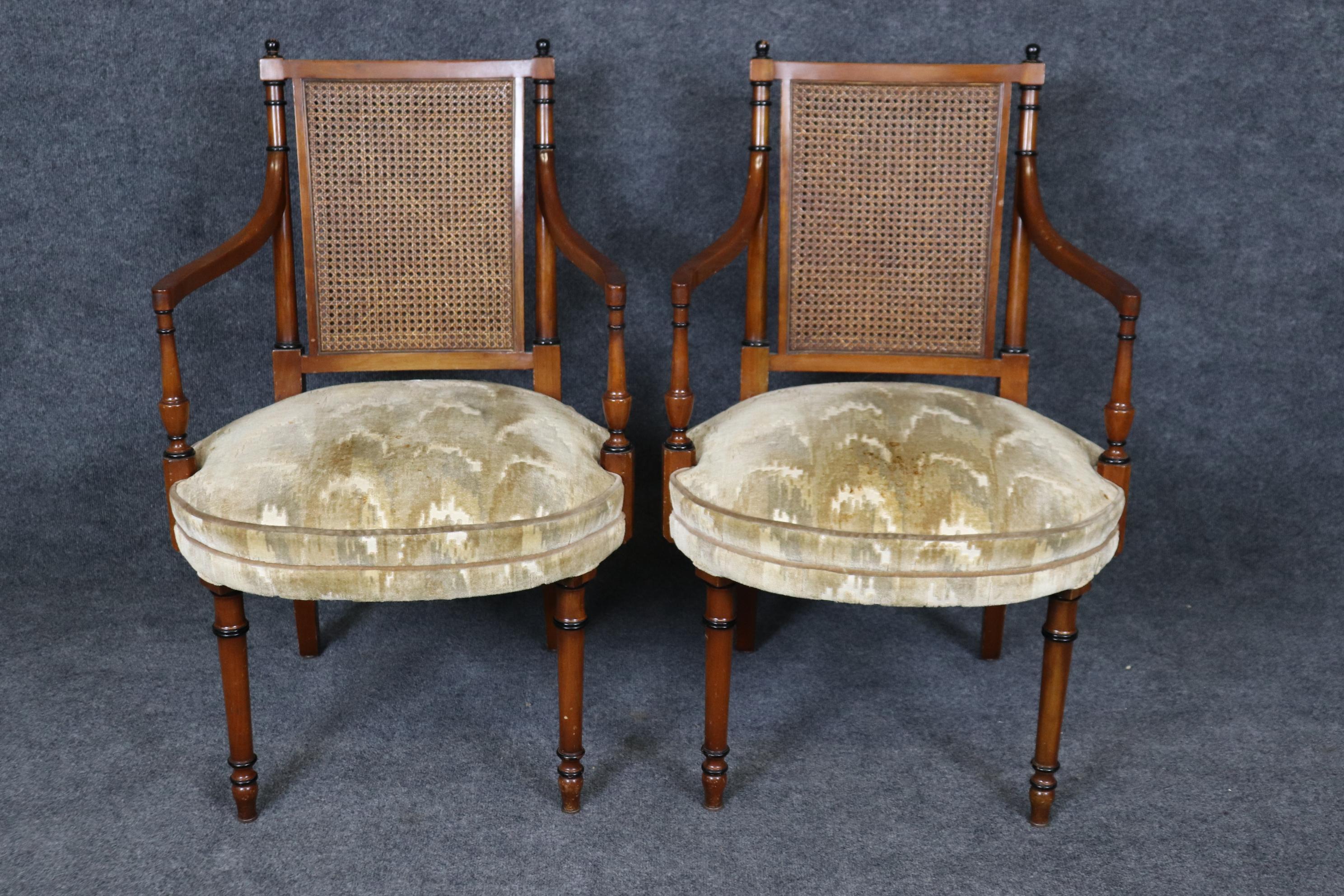 Regency Revival Set 10 Ebonized and Natural Walnut Cane Back Regency Style Dining Chairs