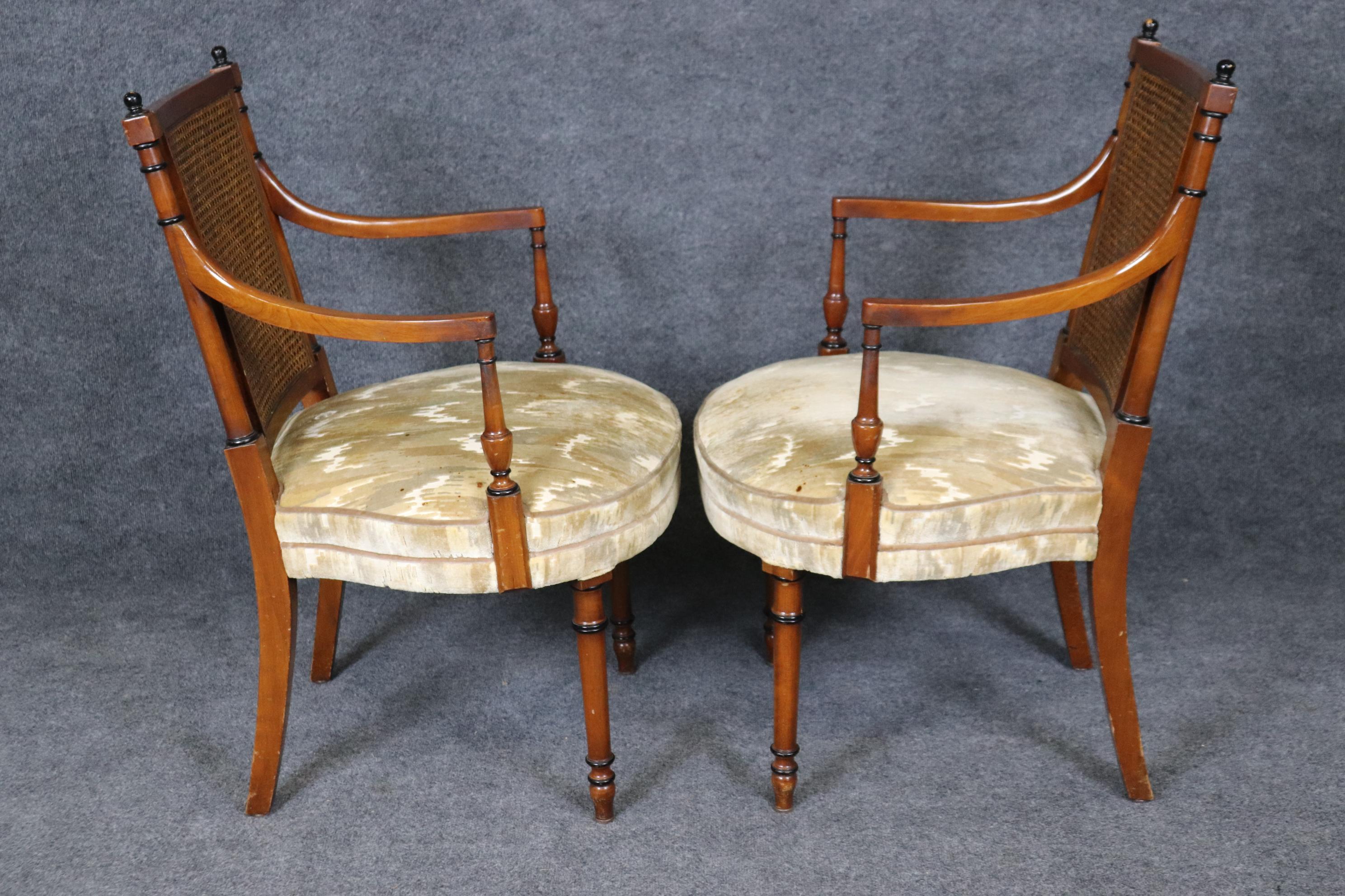French Set 10 Ebonized and Natural Walnut Cane Back Regency Style Dining Chairs