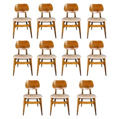Set 11 Mid Century Modern Dining Chairs by Thonet