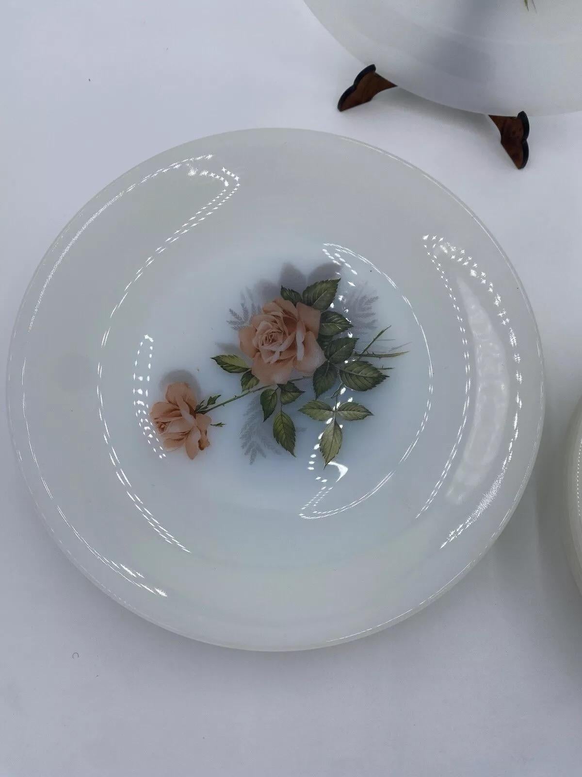 Juego 18 Platos Colección Arcopal France Rose 1970s Late 20th Century en venta